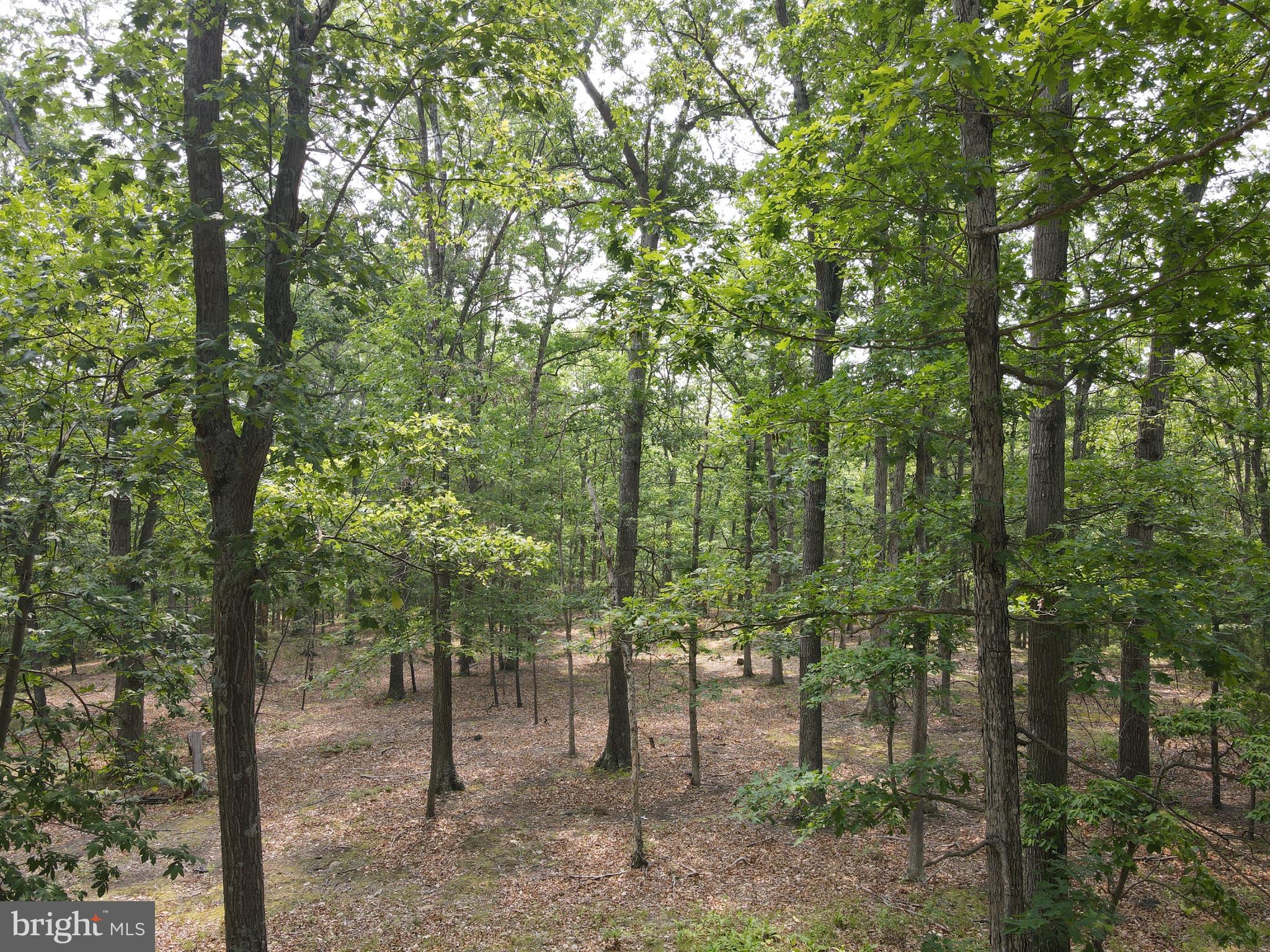 SOUTH POTOMAC FOREST - Residential