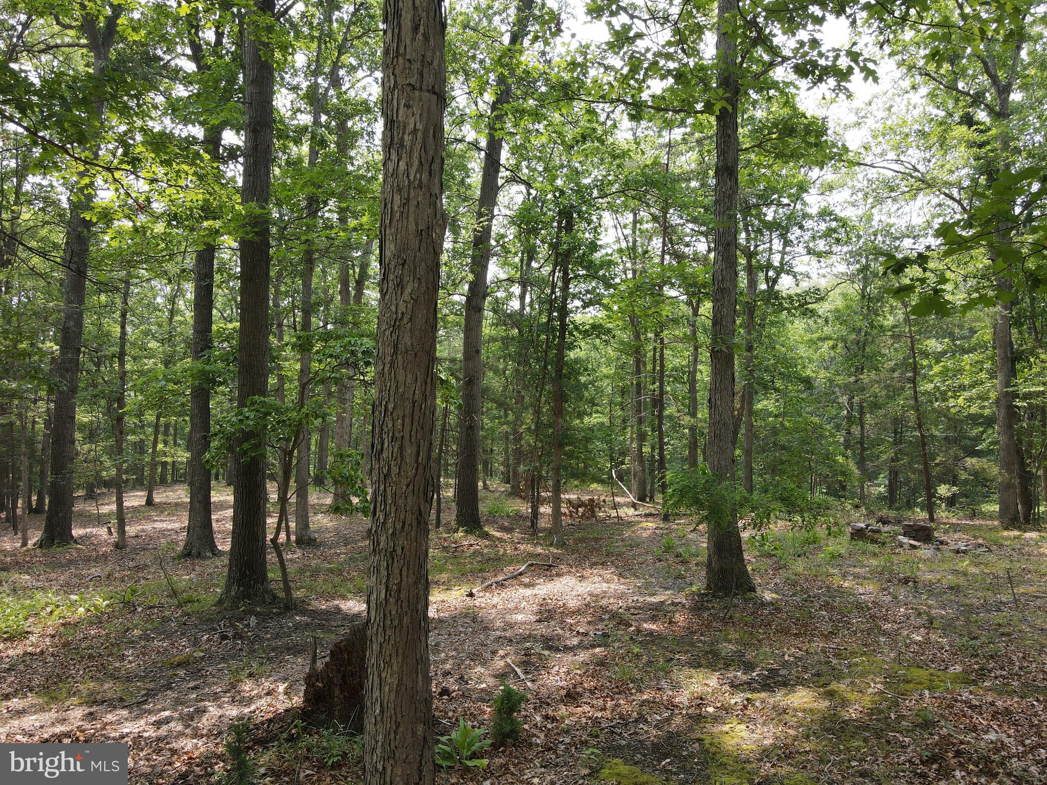 SOUTH POTOMAC FOREST - Residential