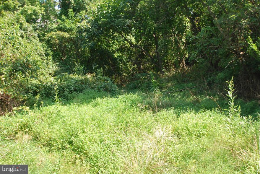 Build your dream home on this nice 1.9+ acre lot on James Madison Hwy with existing driveway. The current house is for tear down. The value is in the land. Have copies from the Health Department of Sewage Disposal System Construction Permit and Water Well Completion Permit.