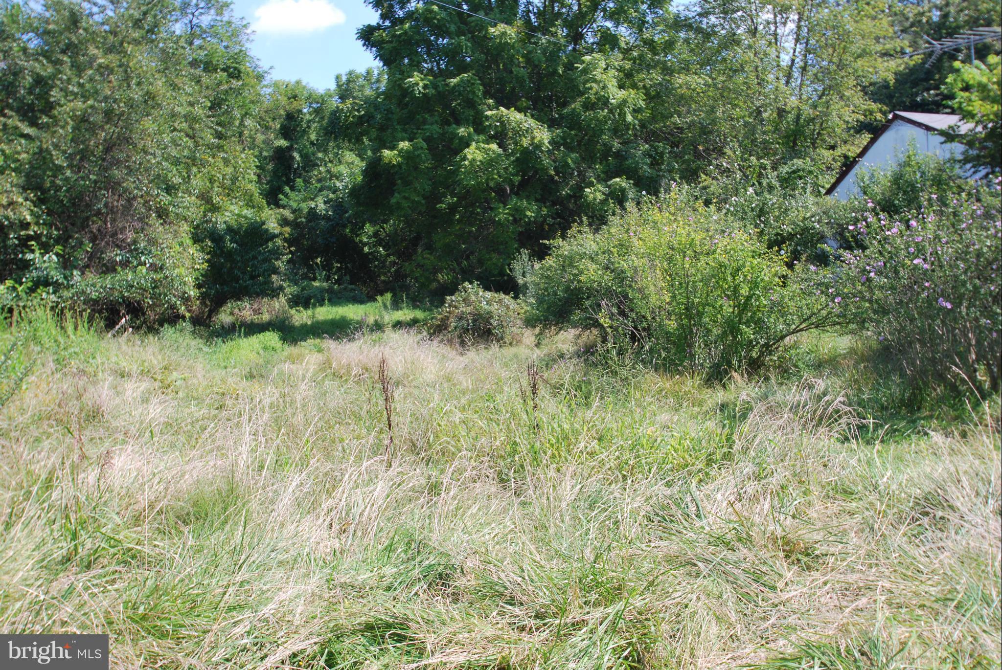 NONE AVAILABLE - Land