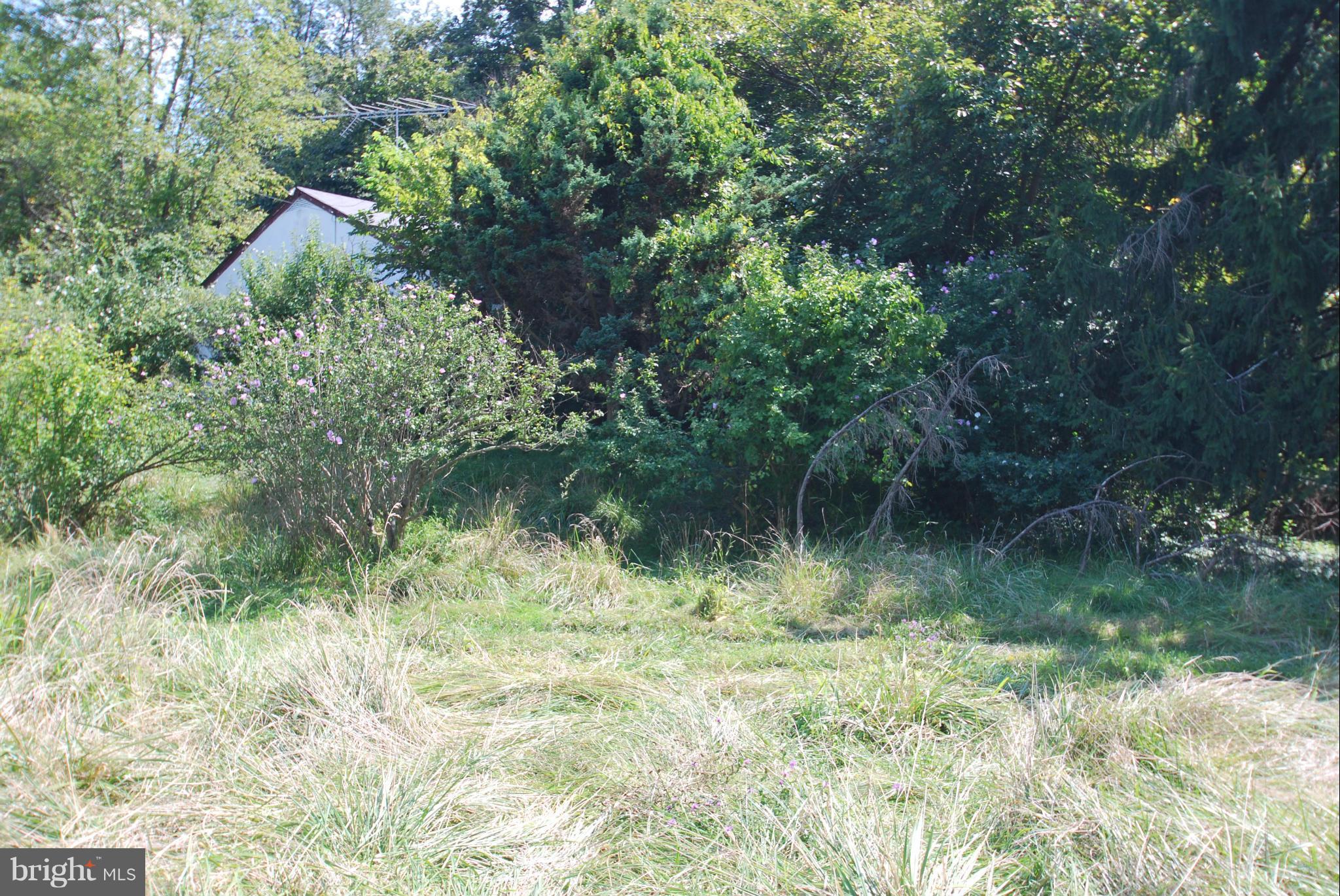 NONE AVAILABLE - Land