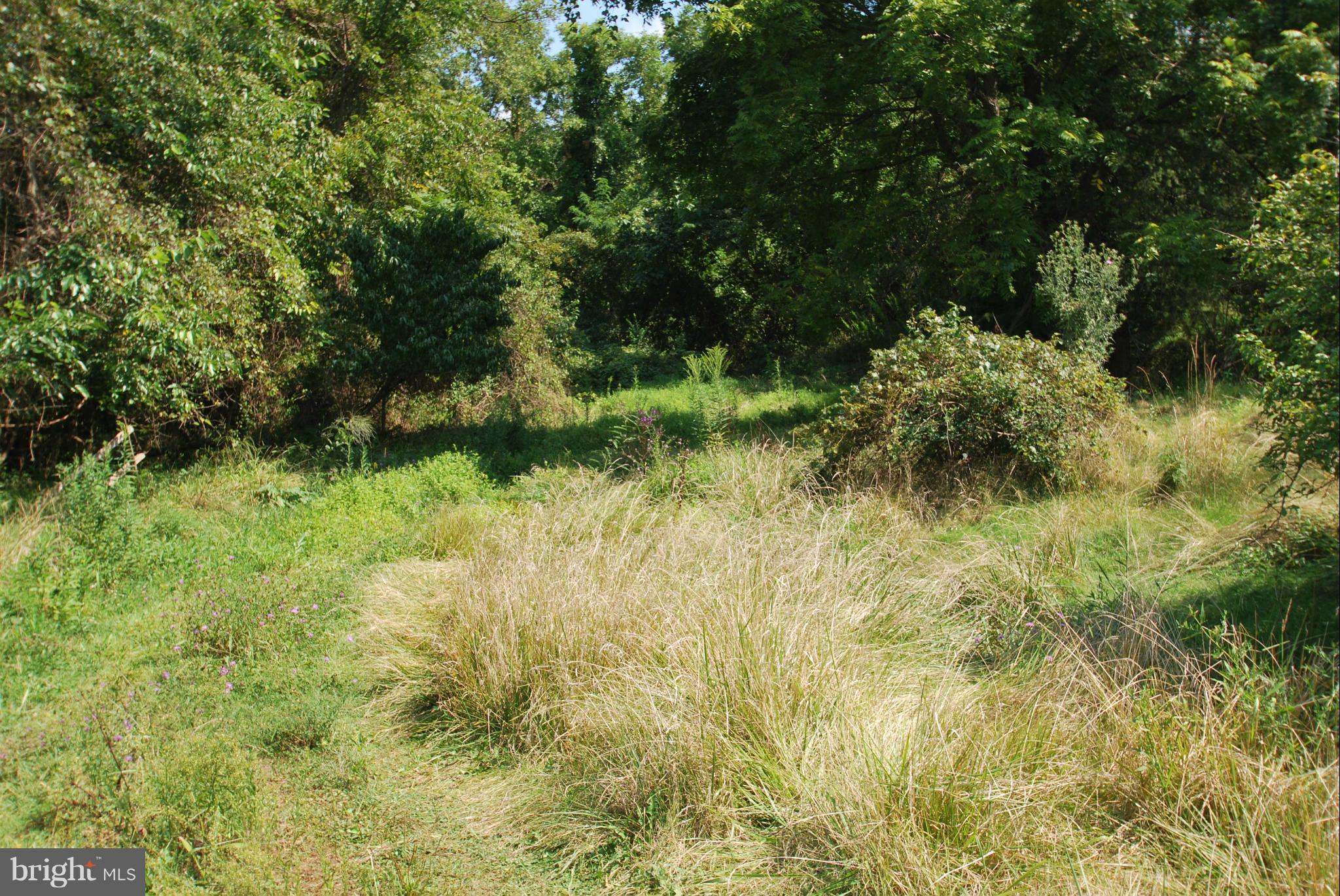 NONE AVAILABLE - Land