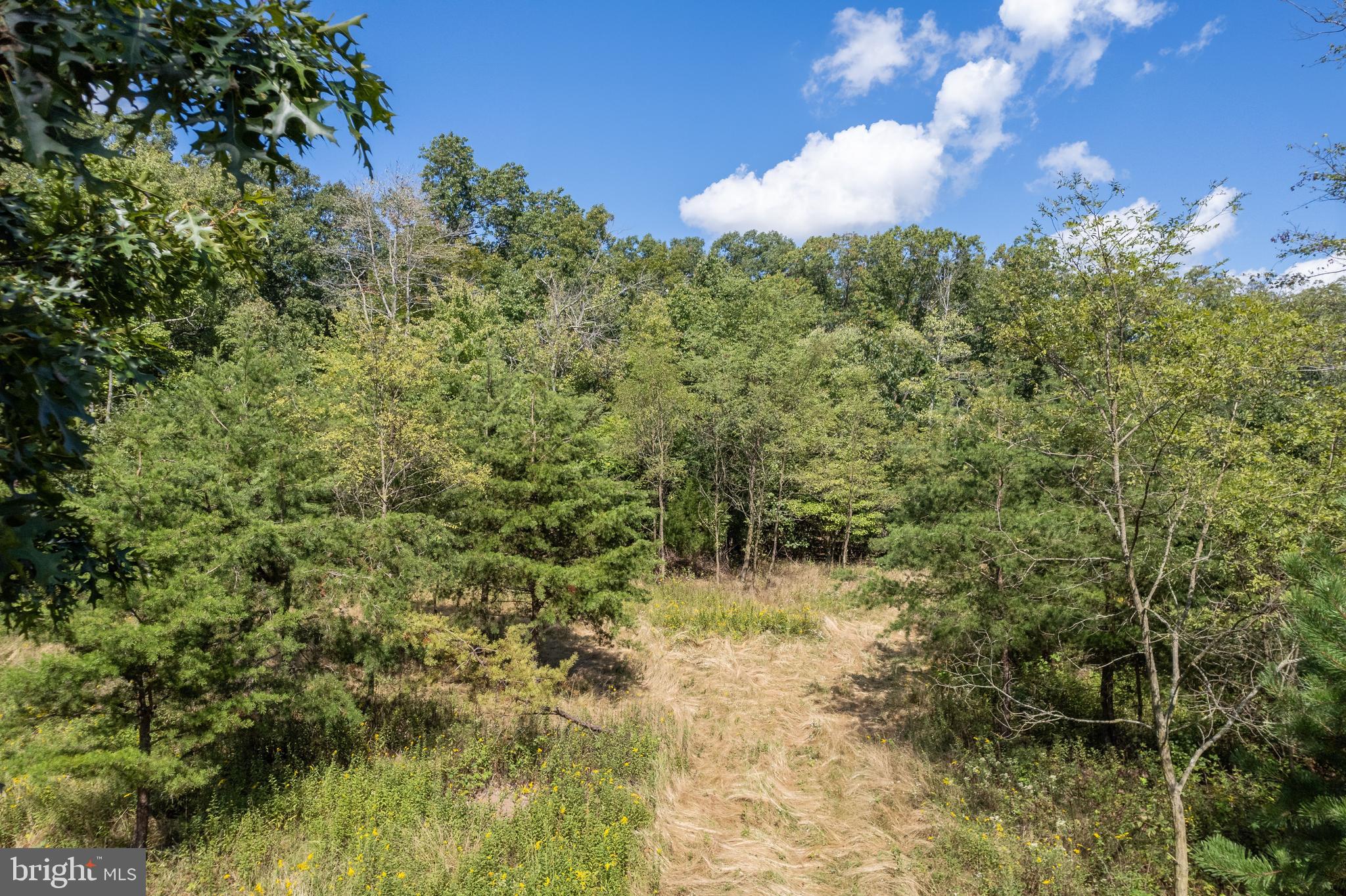 FAIRVIEW ESTATES - Land