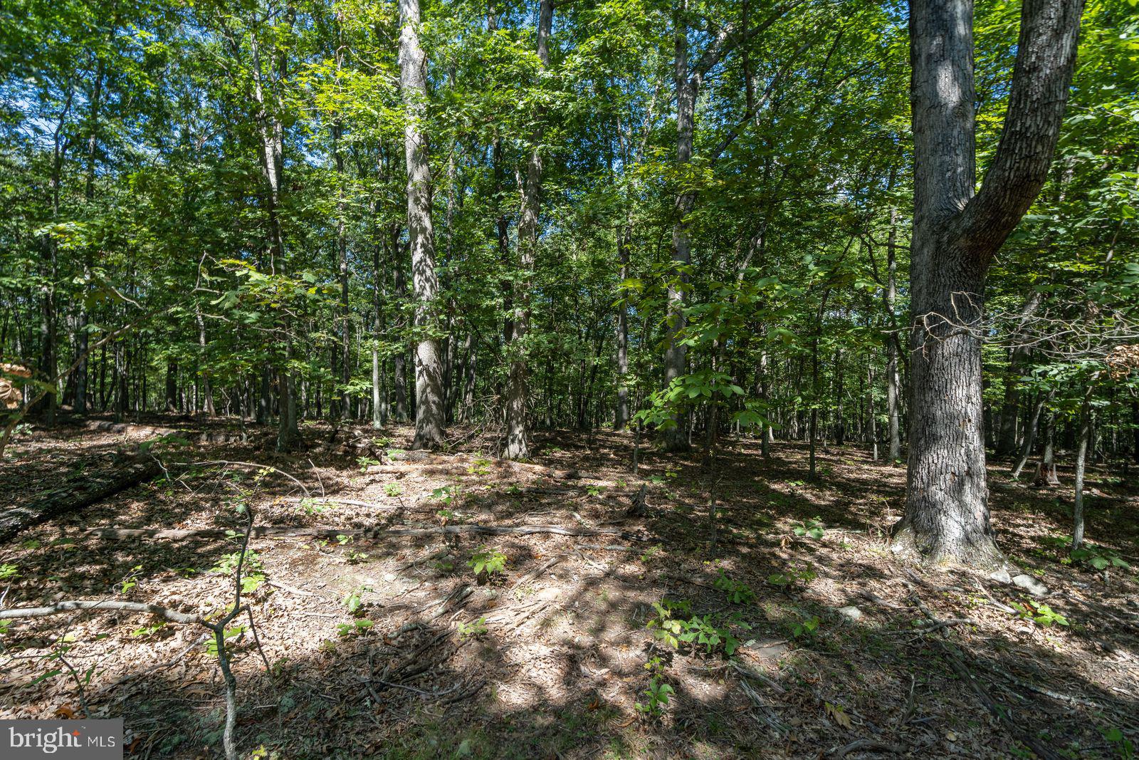 FAIRVIEW ESTATES - Land