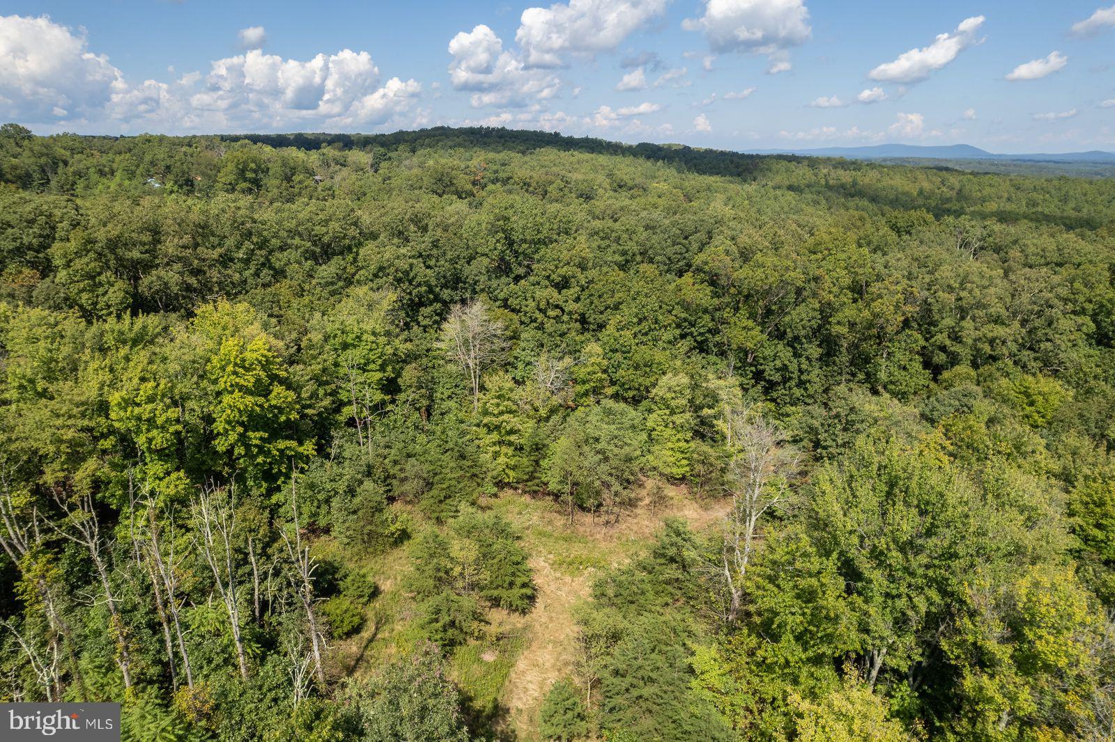 FAIRVIEW ESTATES - Land