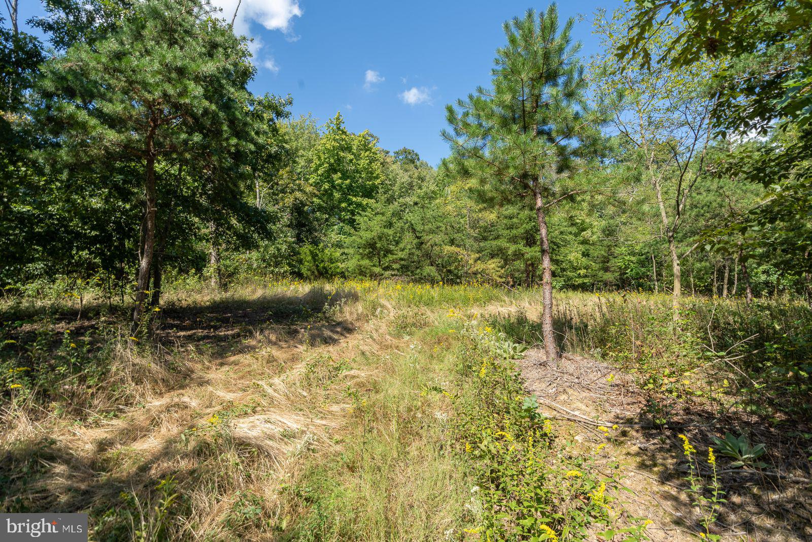 FAIRVIEW ESTATES - Land