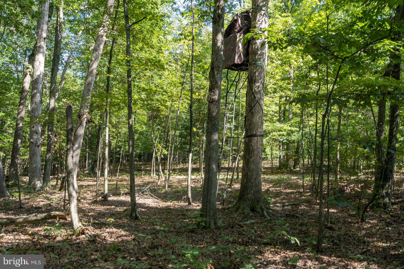 FAIRVIEW ESTATES - Land