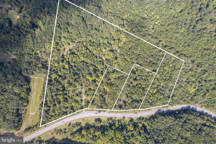 "ARE YOU KIDDING ME??  19.22 acres (4 divided lots that have been perked) for HOW MUCH??    Priced to sell!   This property offers many possibilities with your ownership!  Schedule a time to come see it, bring your builder with you.   Keep the 19.22 acres all to yourself for building your home on 12.70 ac parcel,  enjoy the Artesian well that produces a good amount of water, use the rest of the land for clearing some for animals, pasture, or leave wooded for nice nature walks to see nature or for hunting.      Other options, retain the 12.7 ac parcel, sell one, two or three of the lots to recapture some of your investment.  Maybe family members can build on the other lots.  What options can you think of? 
Lot 2: 26-A018K 2.33 acres,    Lot 3:  26-A-18L 2.15 acres ,   Lot 4: 26-A-18M  2.04 acres plus the main parcel, 26-A-18D  12.70 acres.
Within 3 miles West on  Northwestern Pike, you will find all the shopping, stores, services you would need yet 15 miles the opposite way you are in Winchester, Hospital, extensive dining, shopping, recreational, etc.     If you are looking for privacy, an investment with a number of options, great road frontage, and artesian well and easy access to anything you need, well, you just found it!   Make your appointment to preview this beautiful property.
Lots are "not" offered individually.   All lots have been perked, see downloaded documents.  All offers must be accompanied by a pre-approval.     Contact Listing Agent for showing instructions.