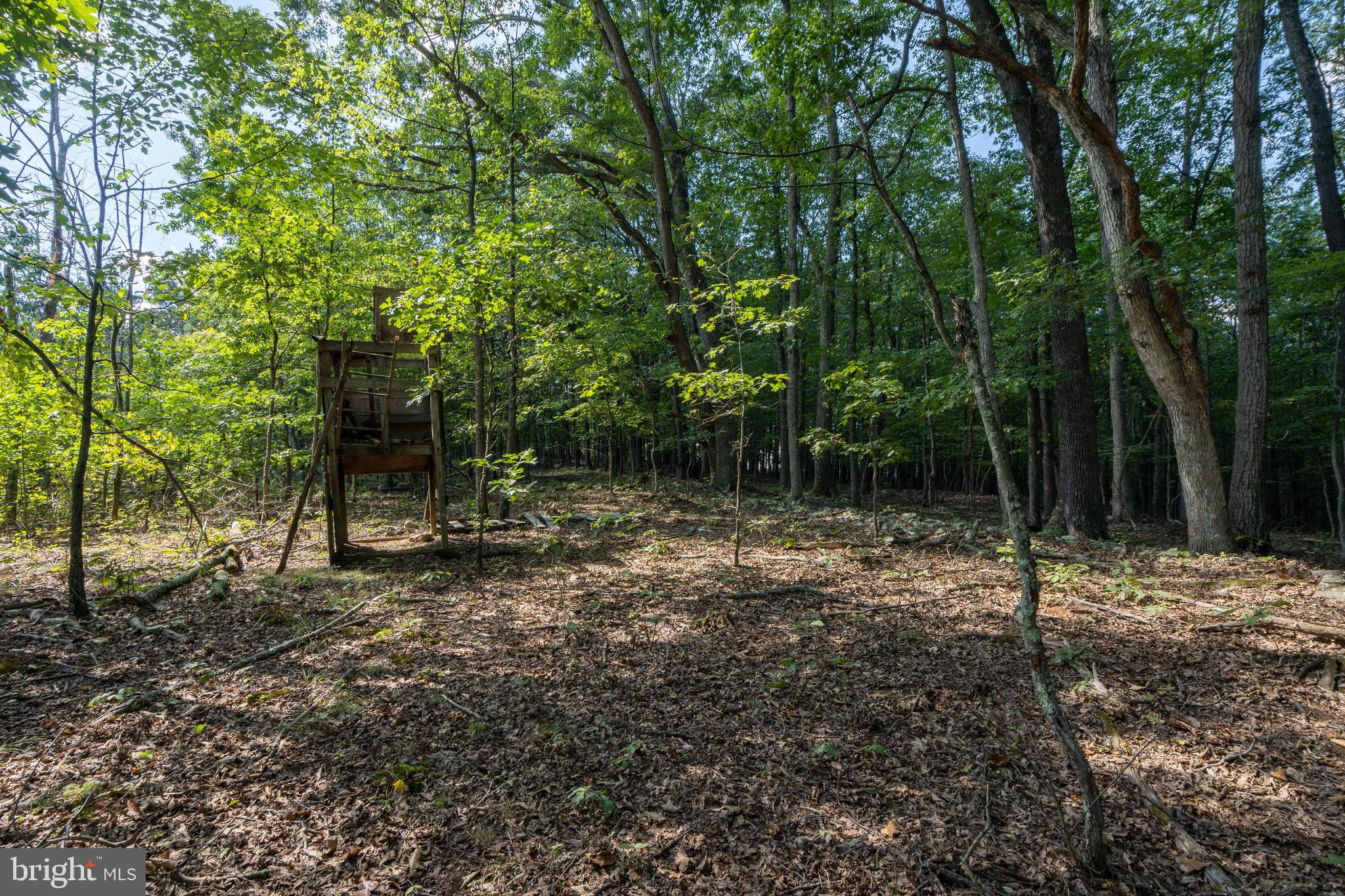 FAIRVIEW ESTATES - Land