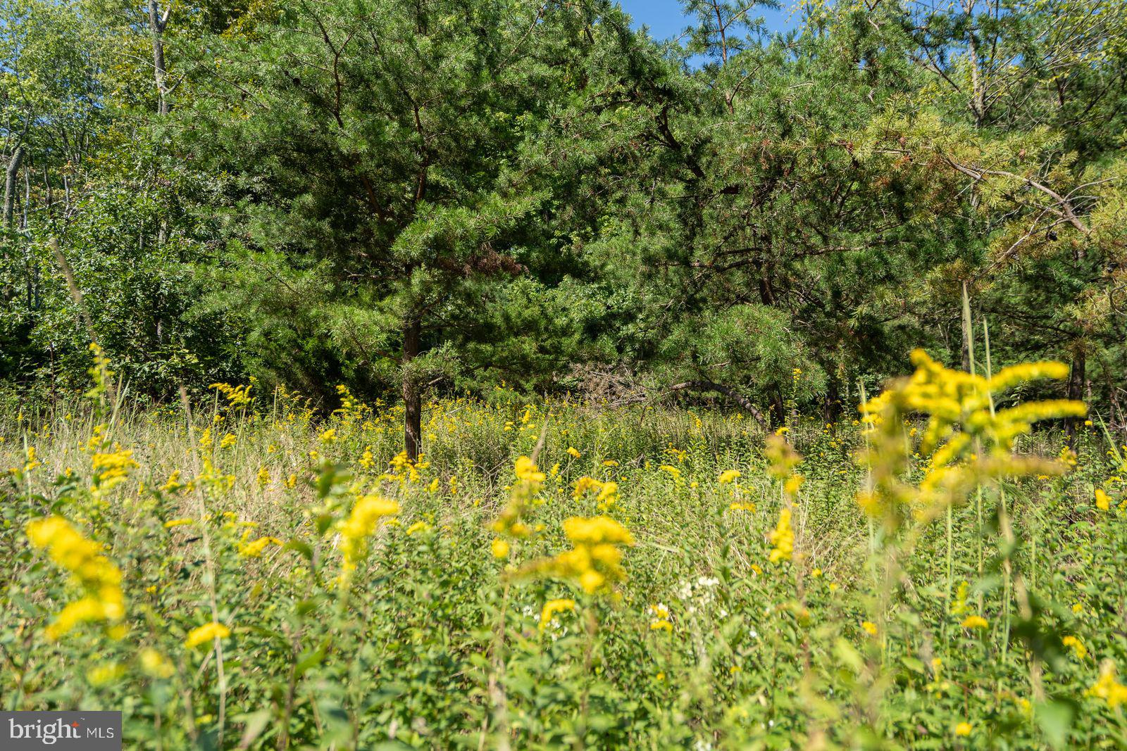 FAIRVIEW ESTATES - Land