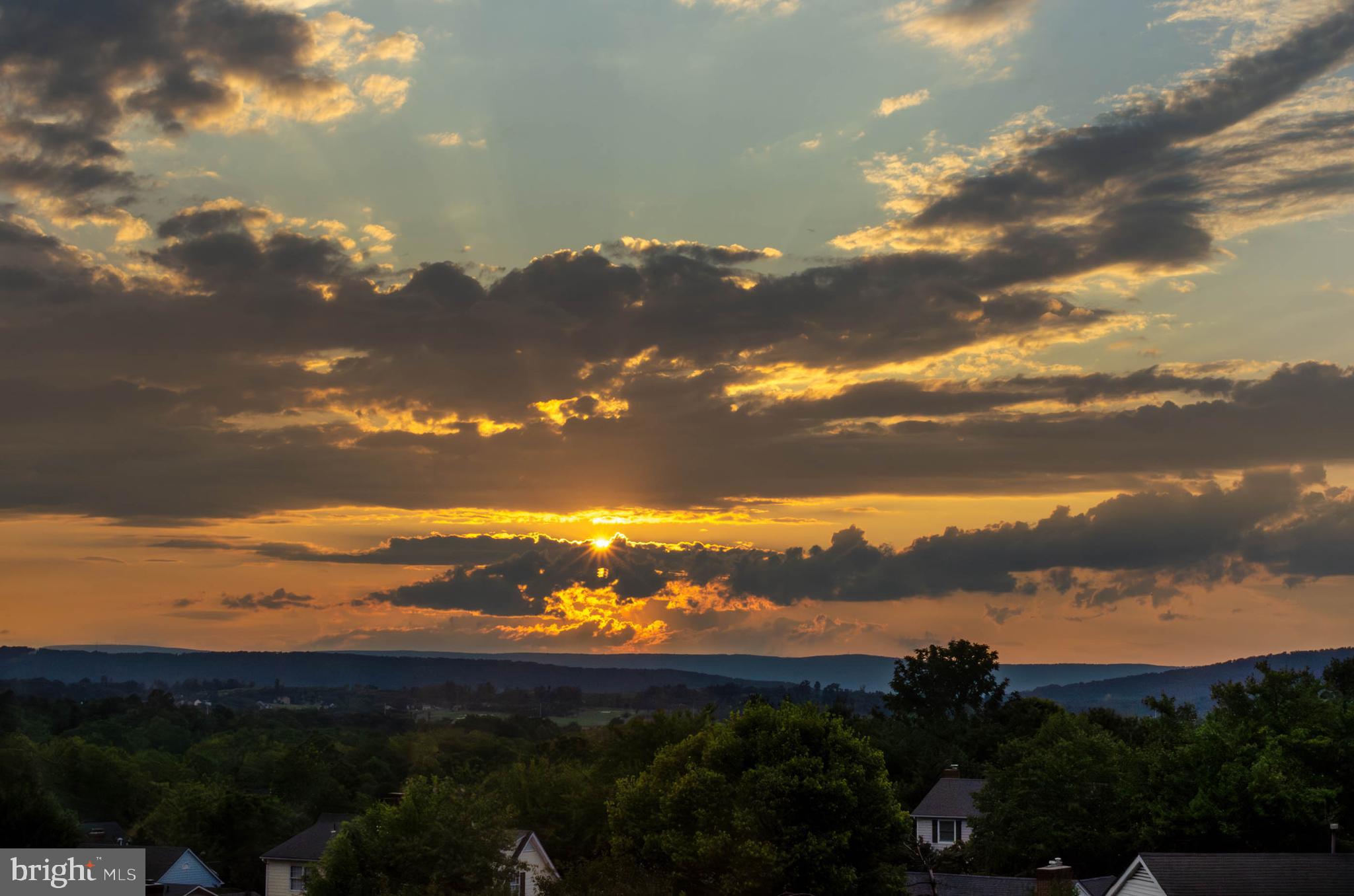 WILLIAMSBURG HEIGHTS - Residential