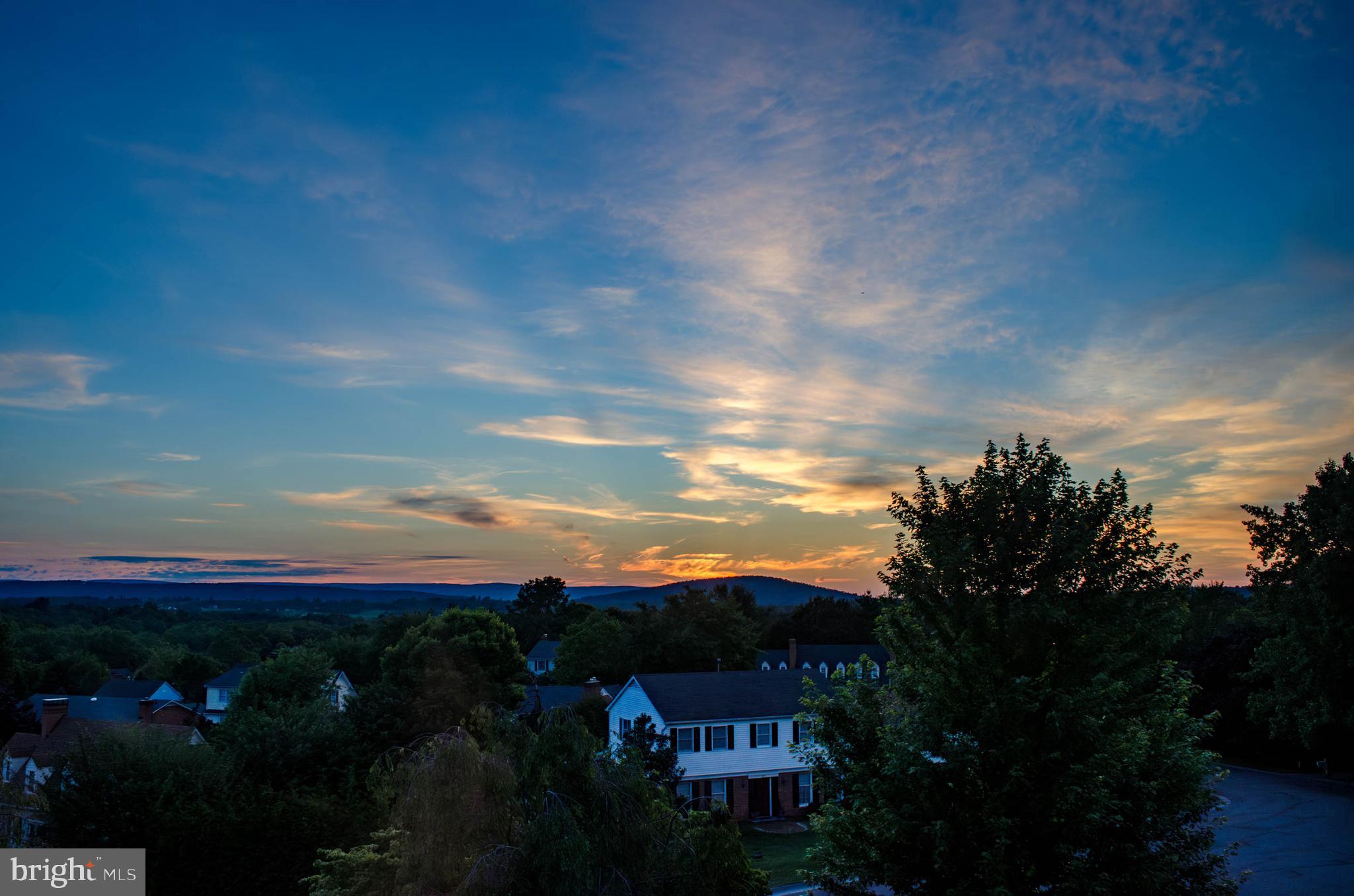WILLIAMSBURG HEIGHTS - Residential