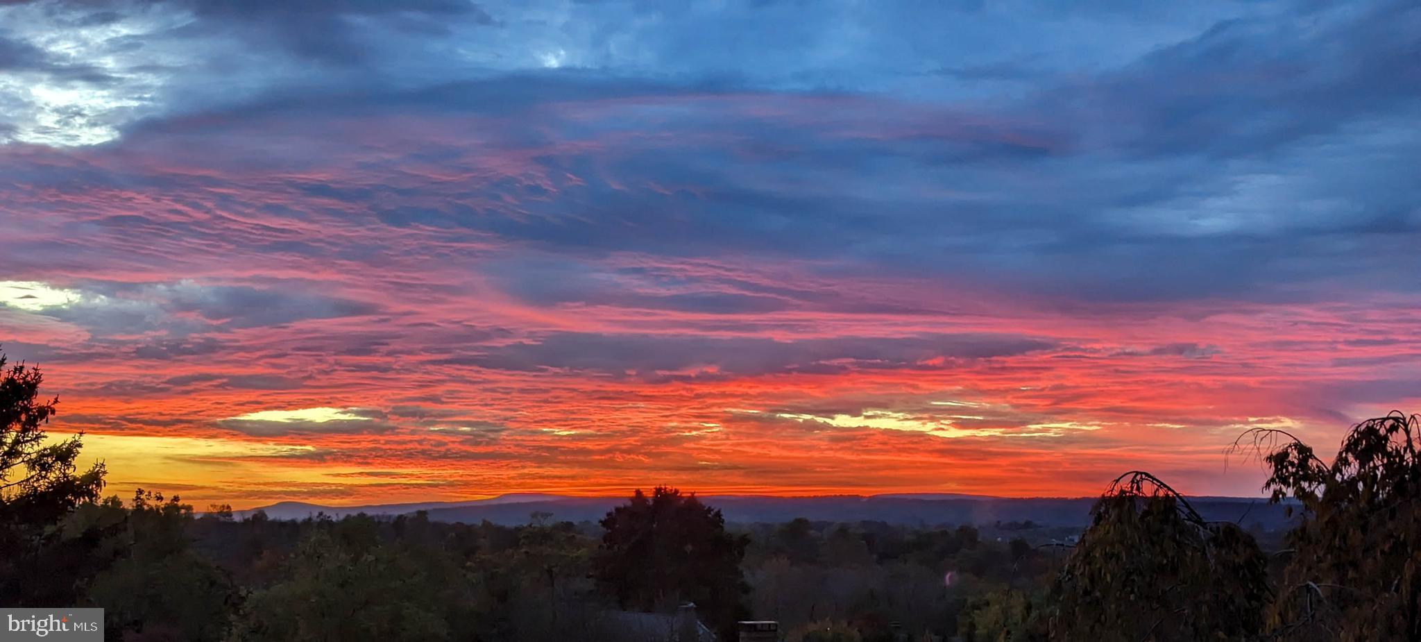 WILLIAMSBURG HEIGHTS - Residential