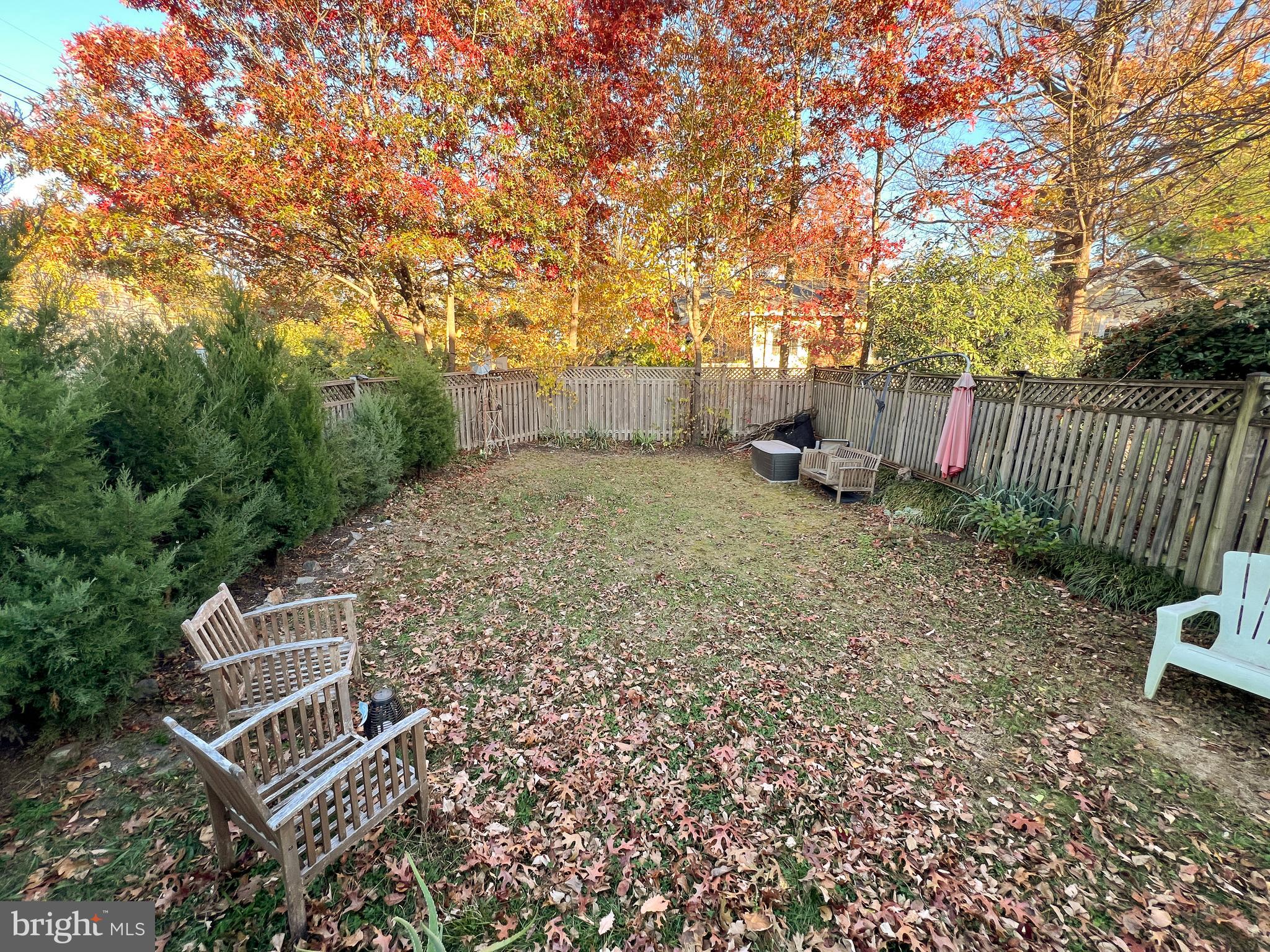 TAKOMA PARK - Residential Lease