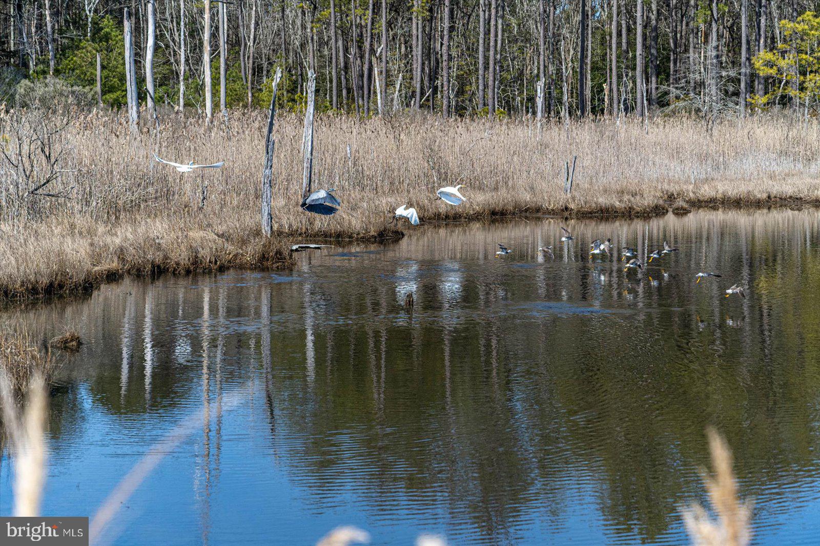 BAY POINT PLANTATION - Residential