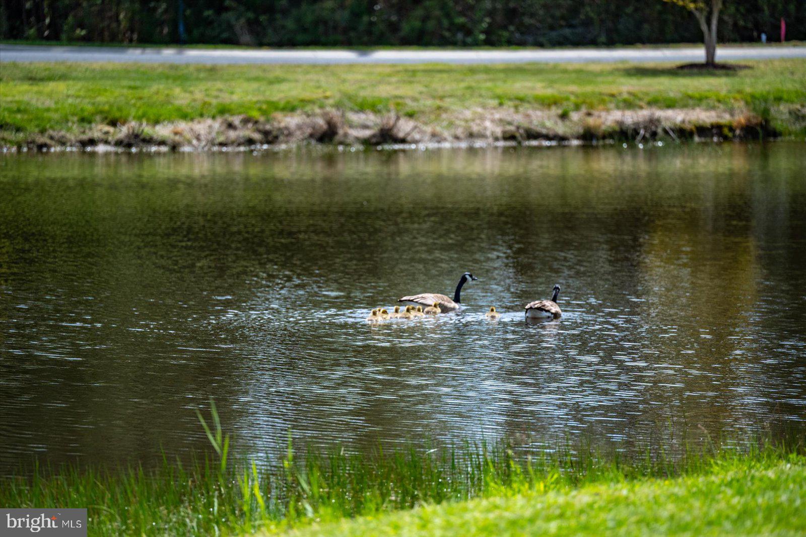 BAY POINT PLANTATION - Residential