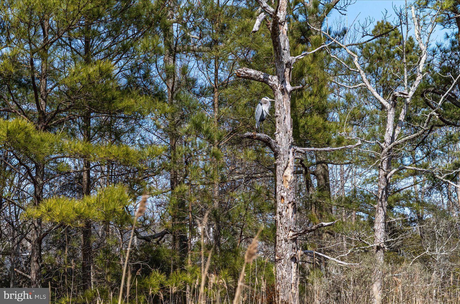 BAY POINT PLANTATION - Residential