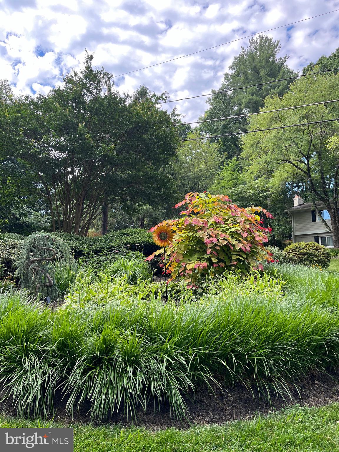 MANTUA - Residential