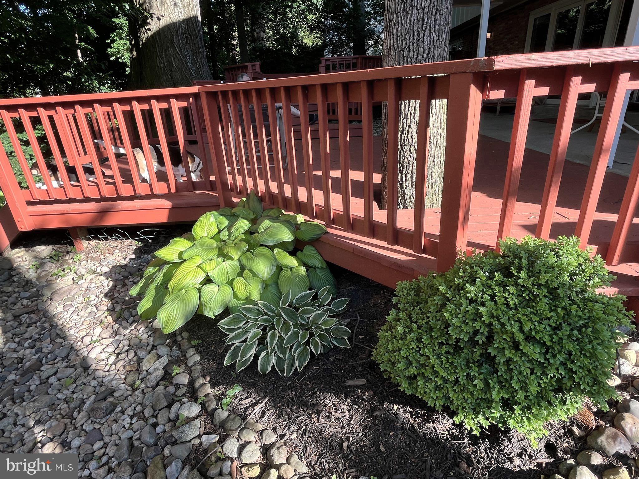 MANTUA - Residential