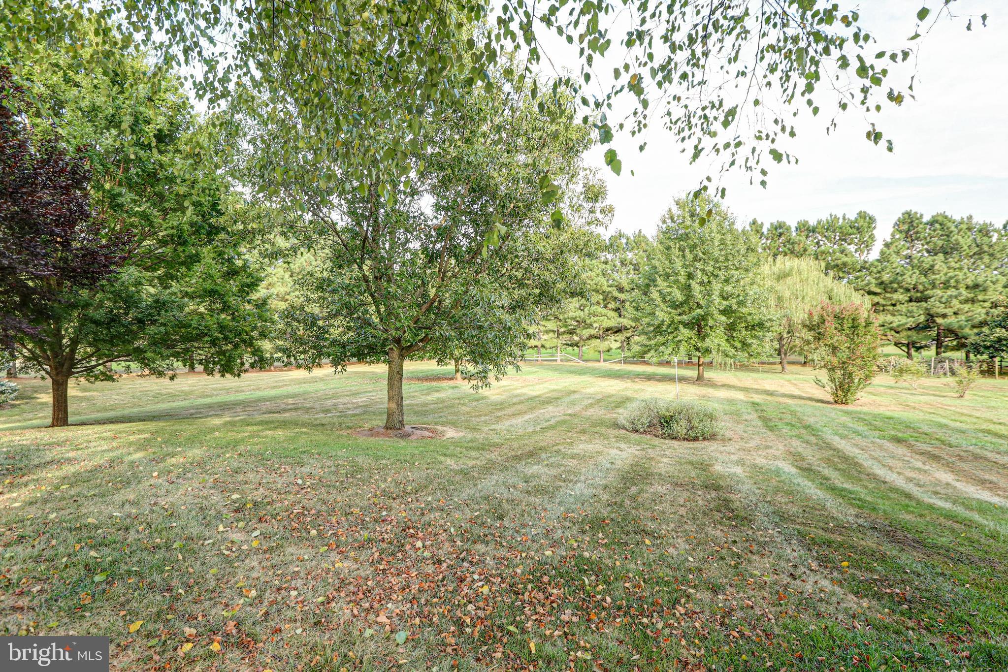 PEARCE CREEK - Residential