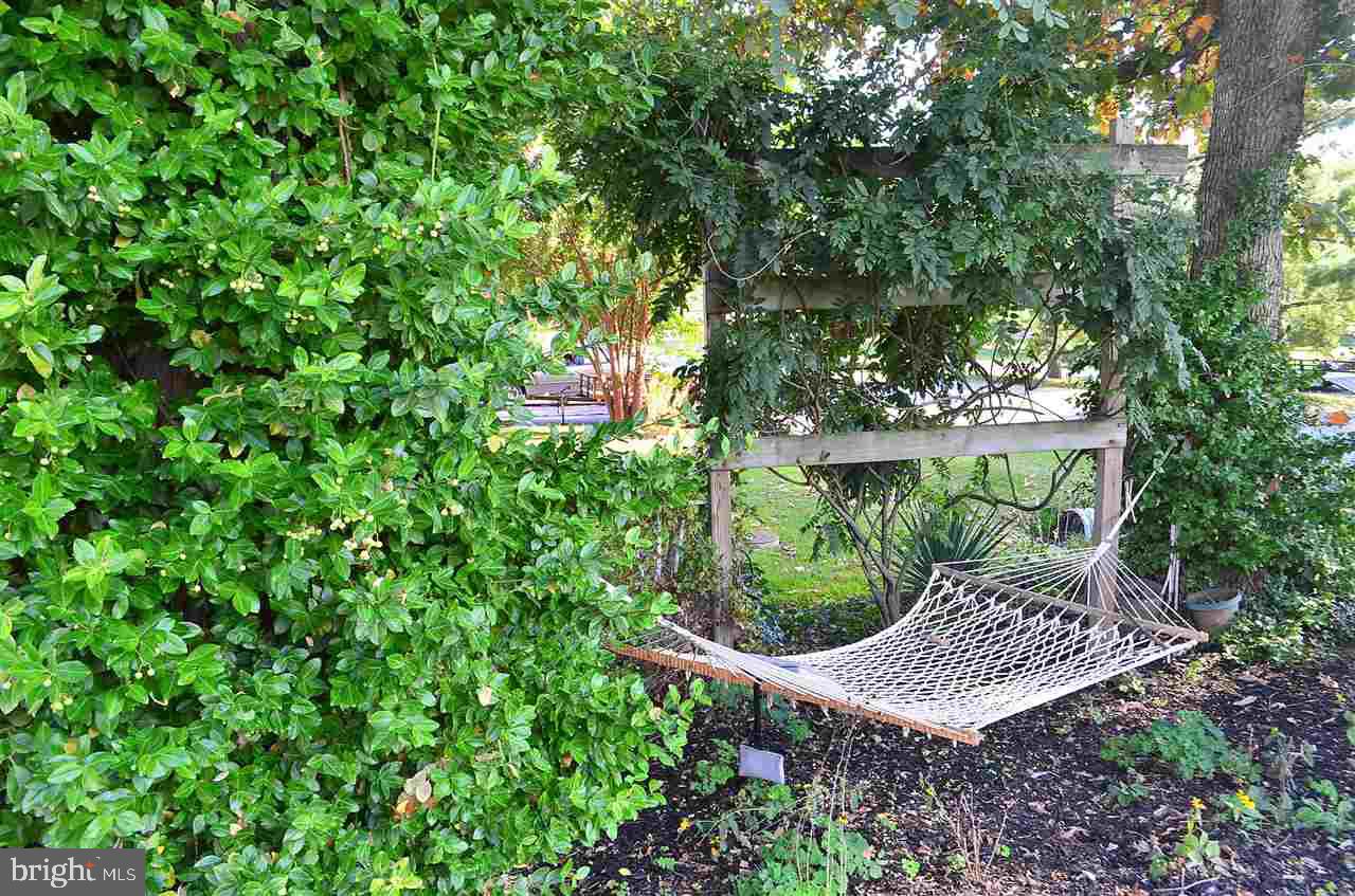 LAKE MEADE - Residential