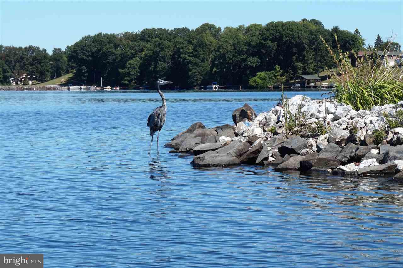 LAKE MEADE - Residential