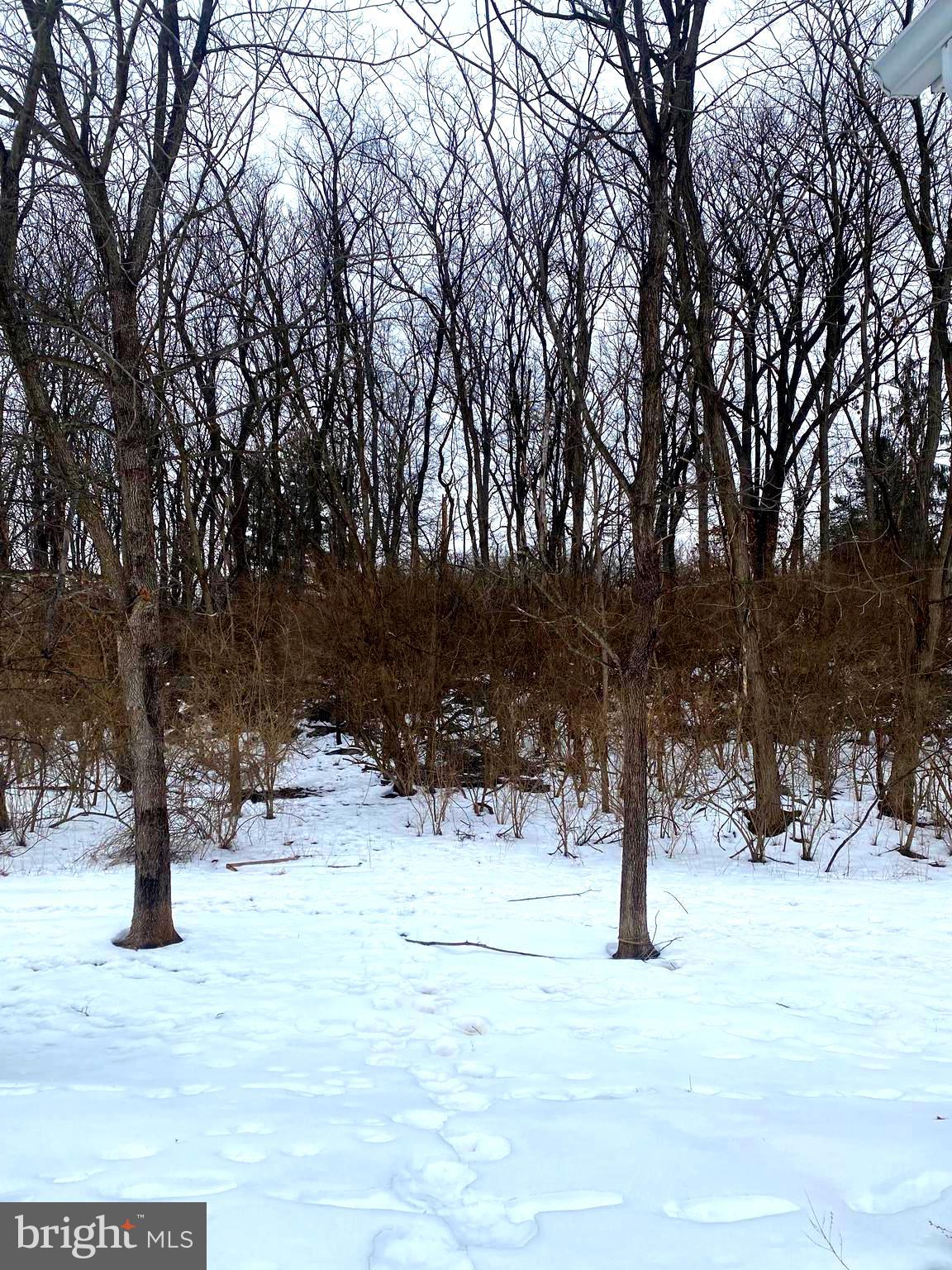 REGENCY SOUTH - Residential