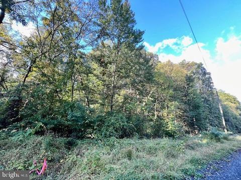Vacant Land For Sale - Short Mountain Road<br/> Shenandoah County, EDINBURG, VA 22824