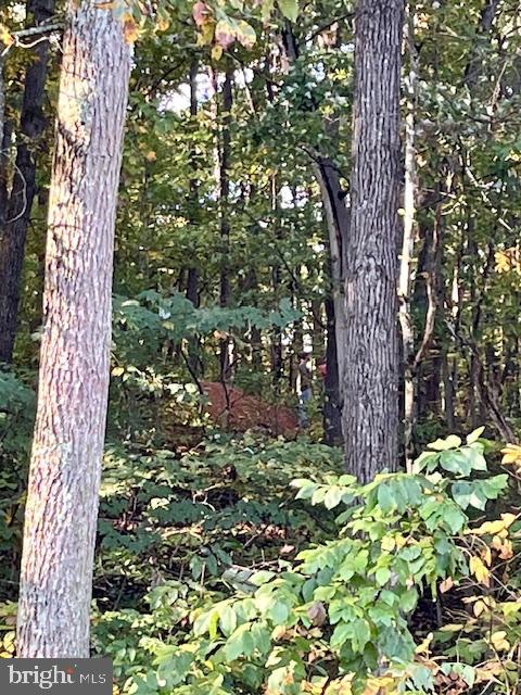 0 SHORT MOUNTAIN ROAD