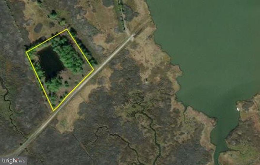 2.0+- acres of Sika hunting property at the end of Goose Creek Road in Toddville, MD. This hunting ground is a hummock with a pond surrounded by adjoining marsh properties.   ***The seller is not interested in leasing the property to an individual, group, or entity.***