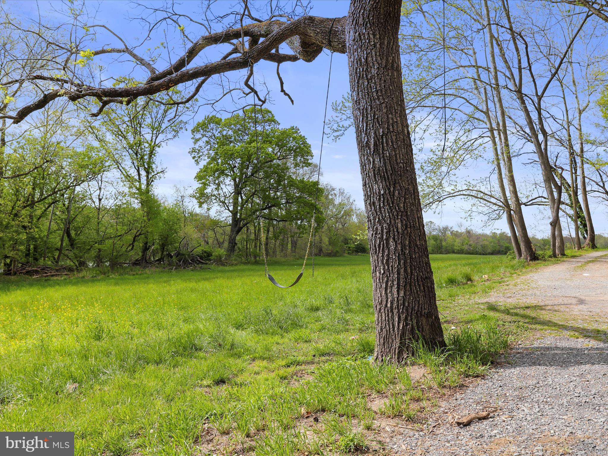 SHENANDOAH RANCH - Residential