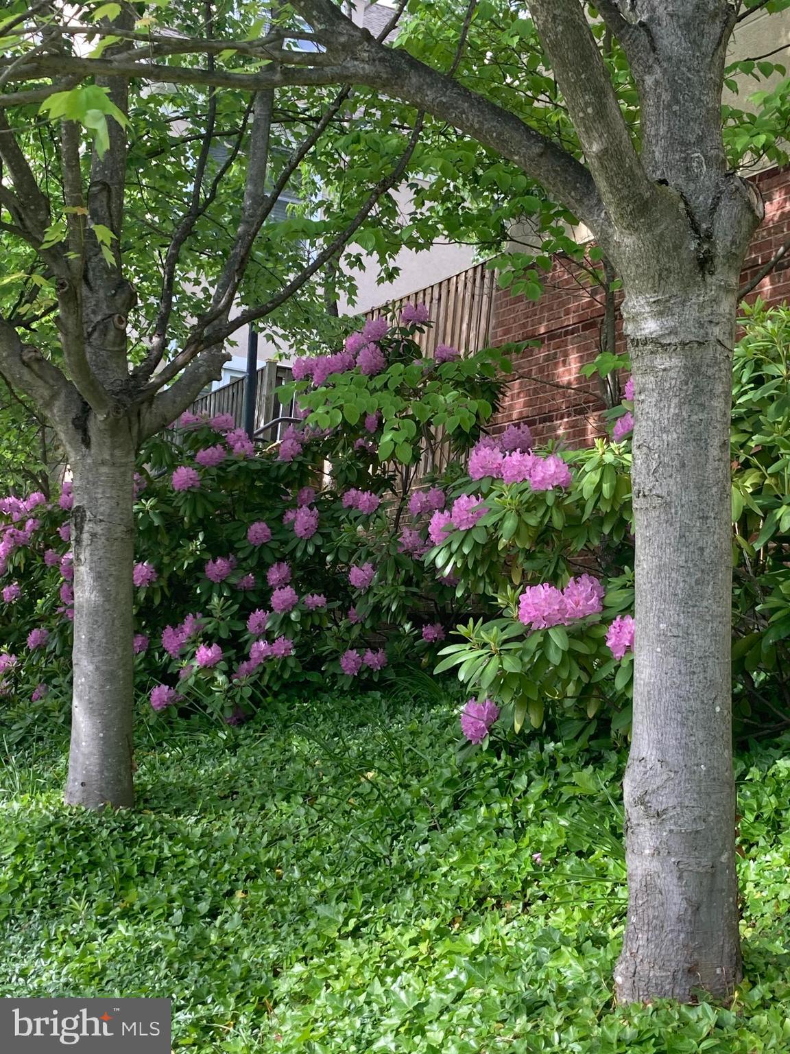 EARLY STREET VILLAGE - Residential