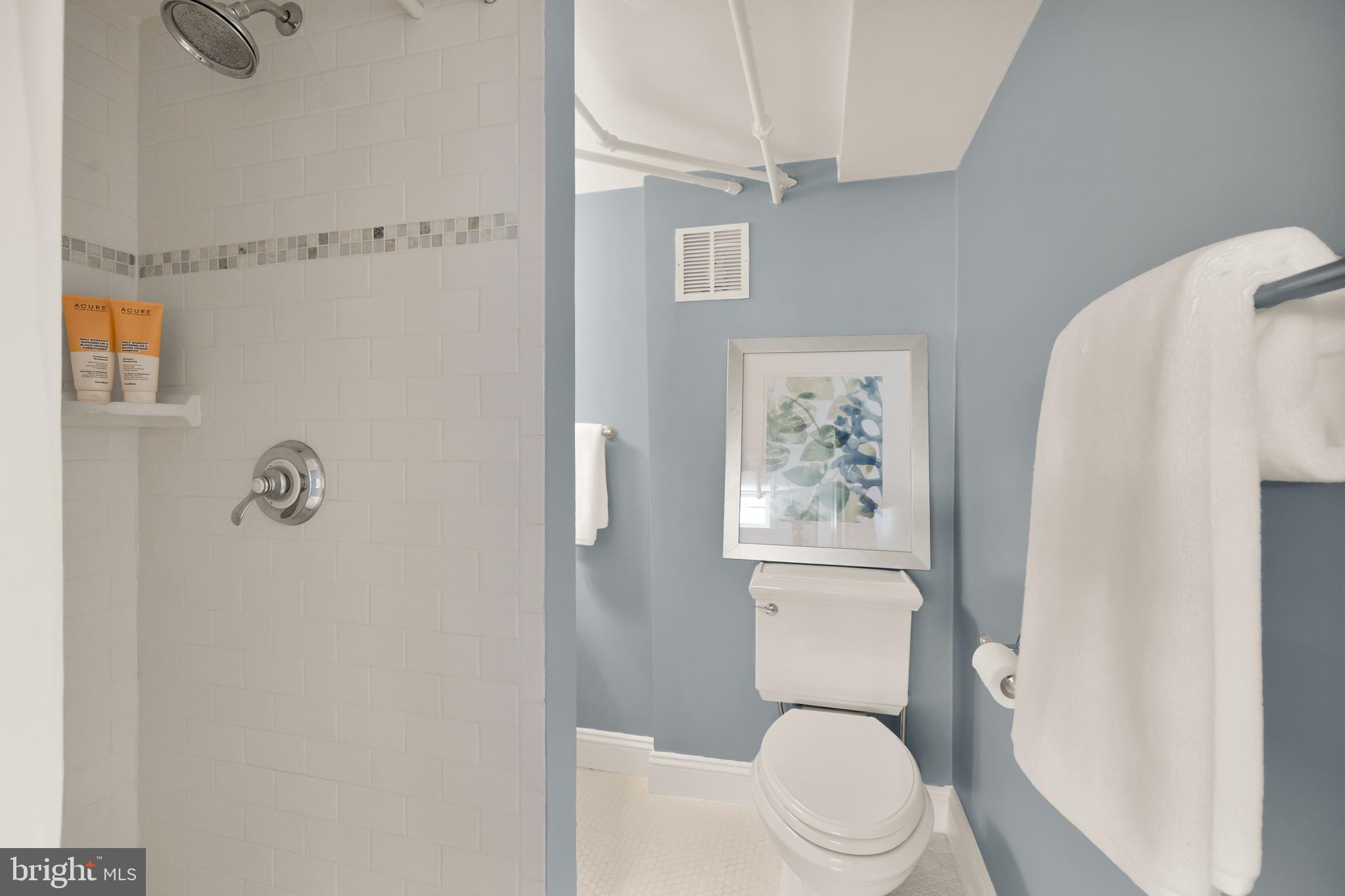 CHEVY CHASE VILLAGE - Residential