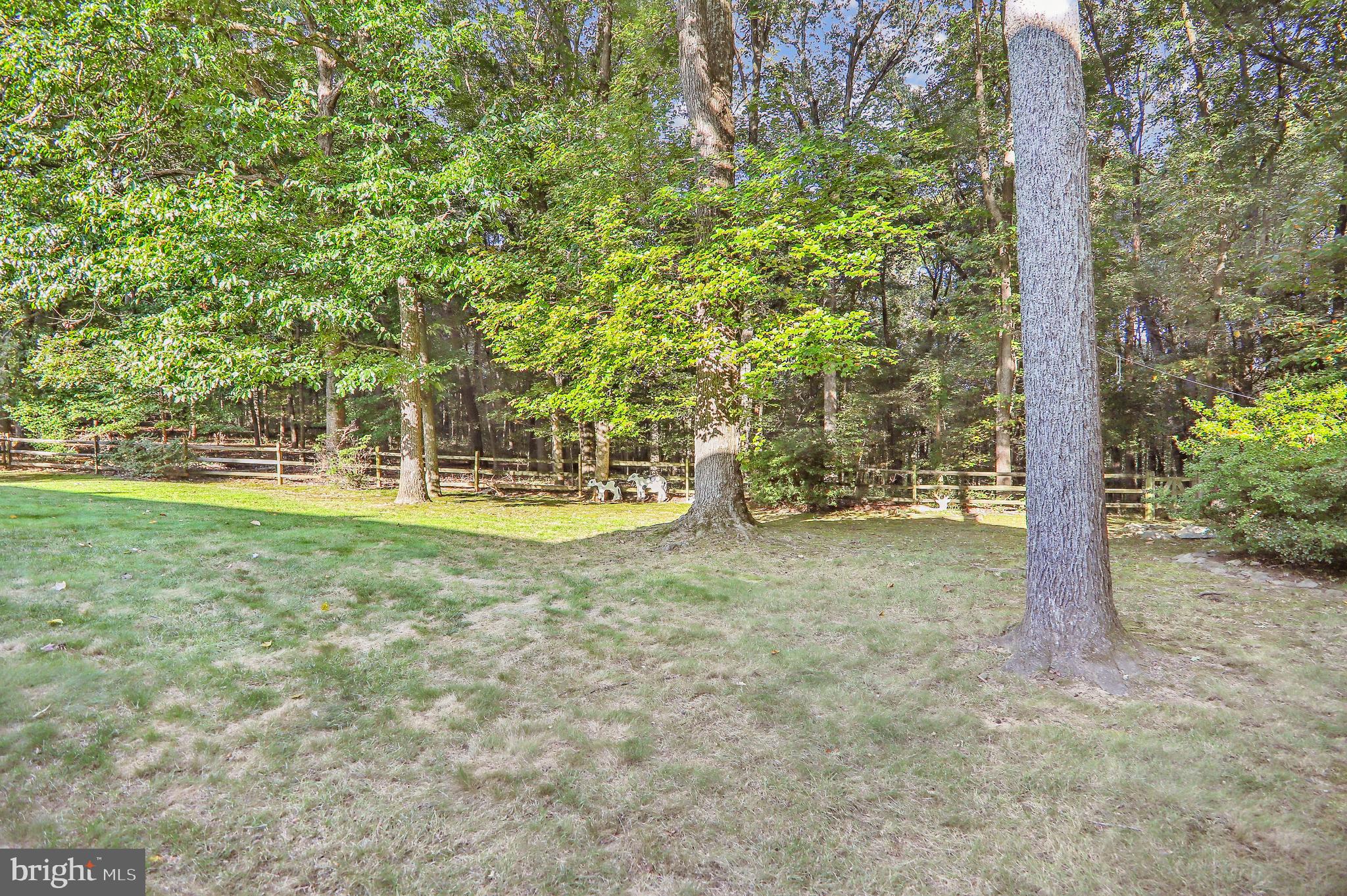 OLNEY MILL - Residential