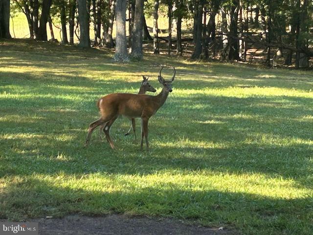 SLEEPY CREEK FARMS - Residential