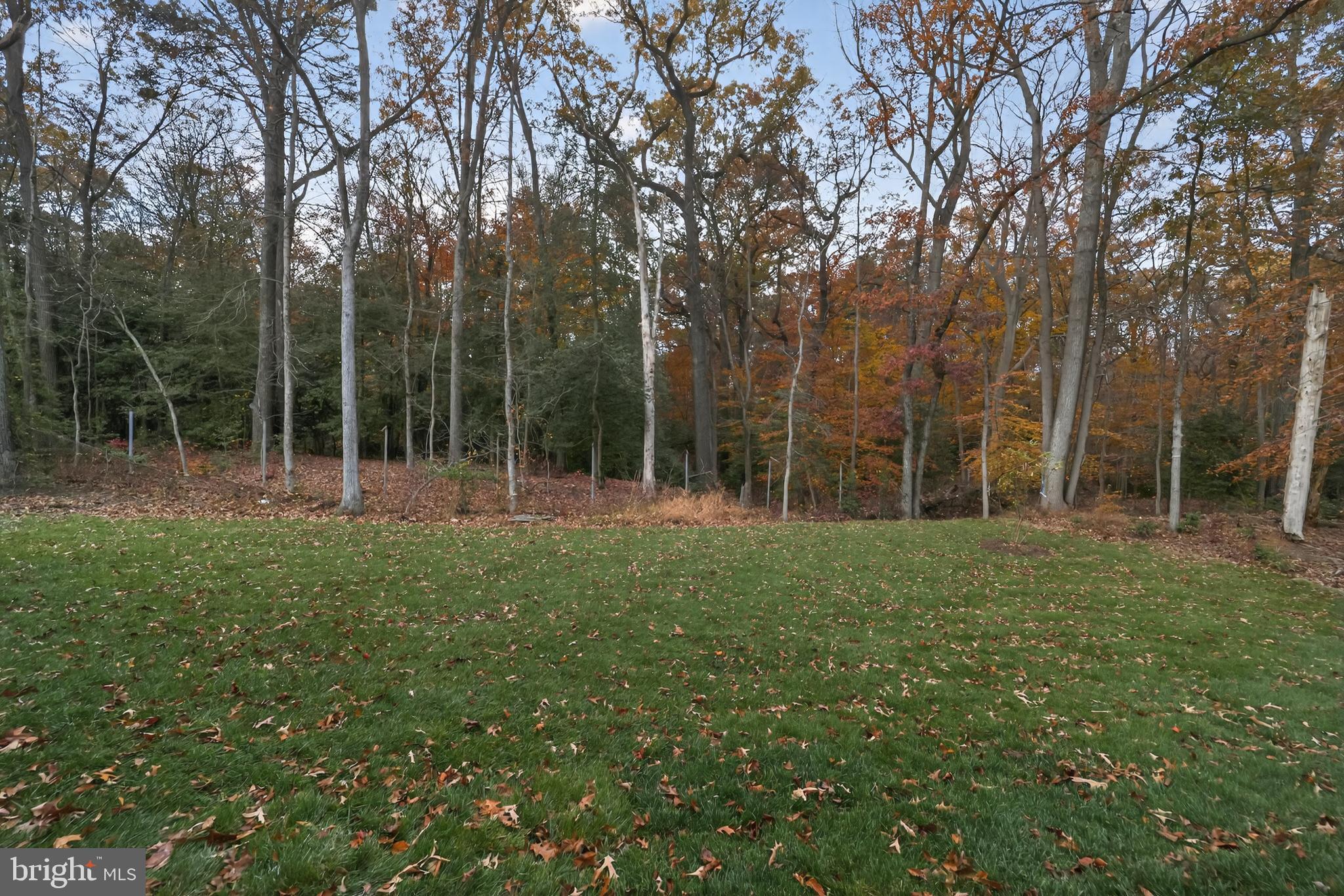 GLENN DALE - Residential