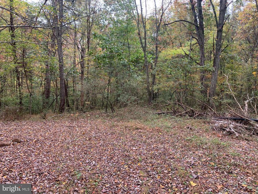 Ready for your  new home!!! New construction, double wide, mobile home or a little cabin.  You can do what you want, the land is unrestricted.  Over 4 acres of land with plenty of room and privacy.  The road in in, site is cleared, and public water and septic are at the building site.  Ready to go.  Only 40 minuted to Winchester!!!