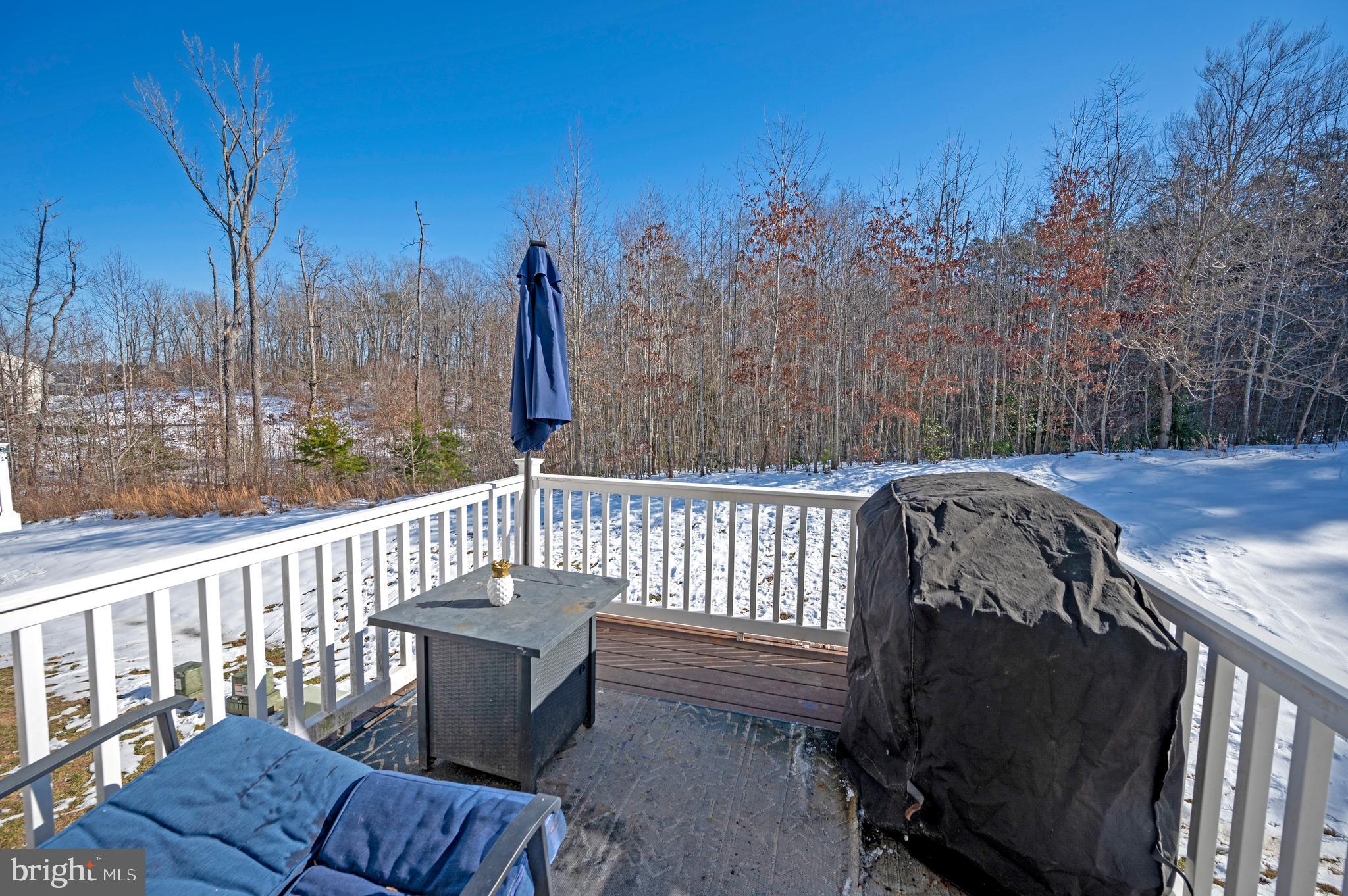 THE VILLAGE AT COURTHOUSE COMMONS - Residential Lease