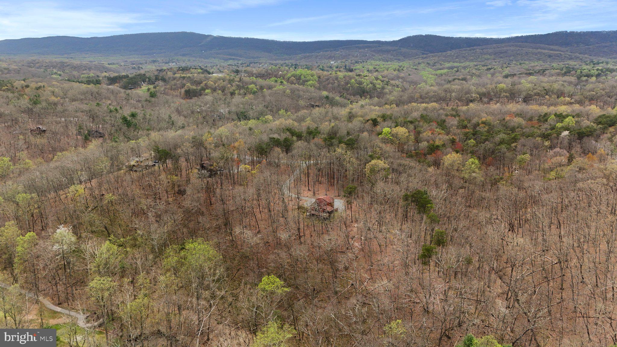 THE WOODS - Residential