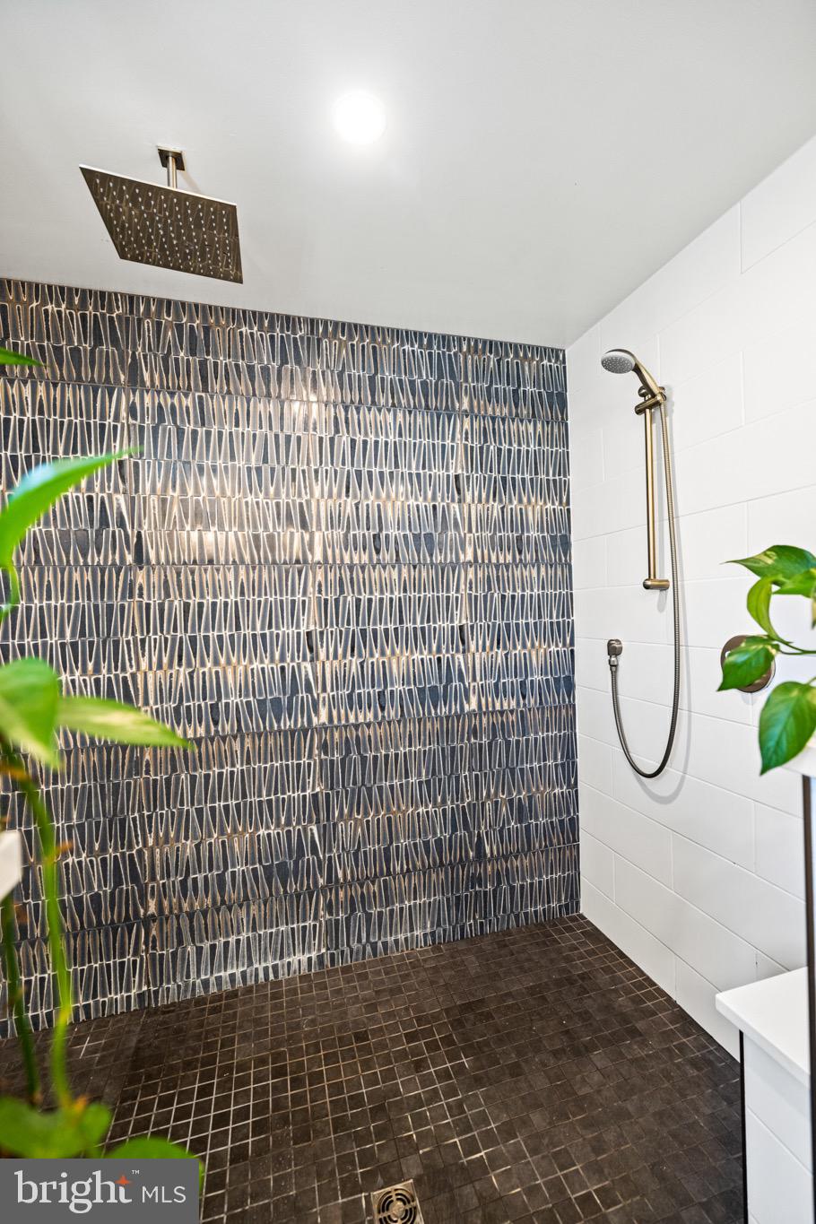 TAKOMA PARK - Residential