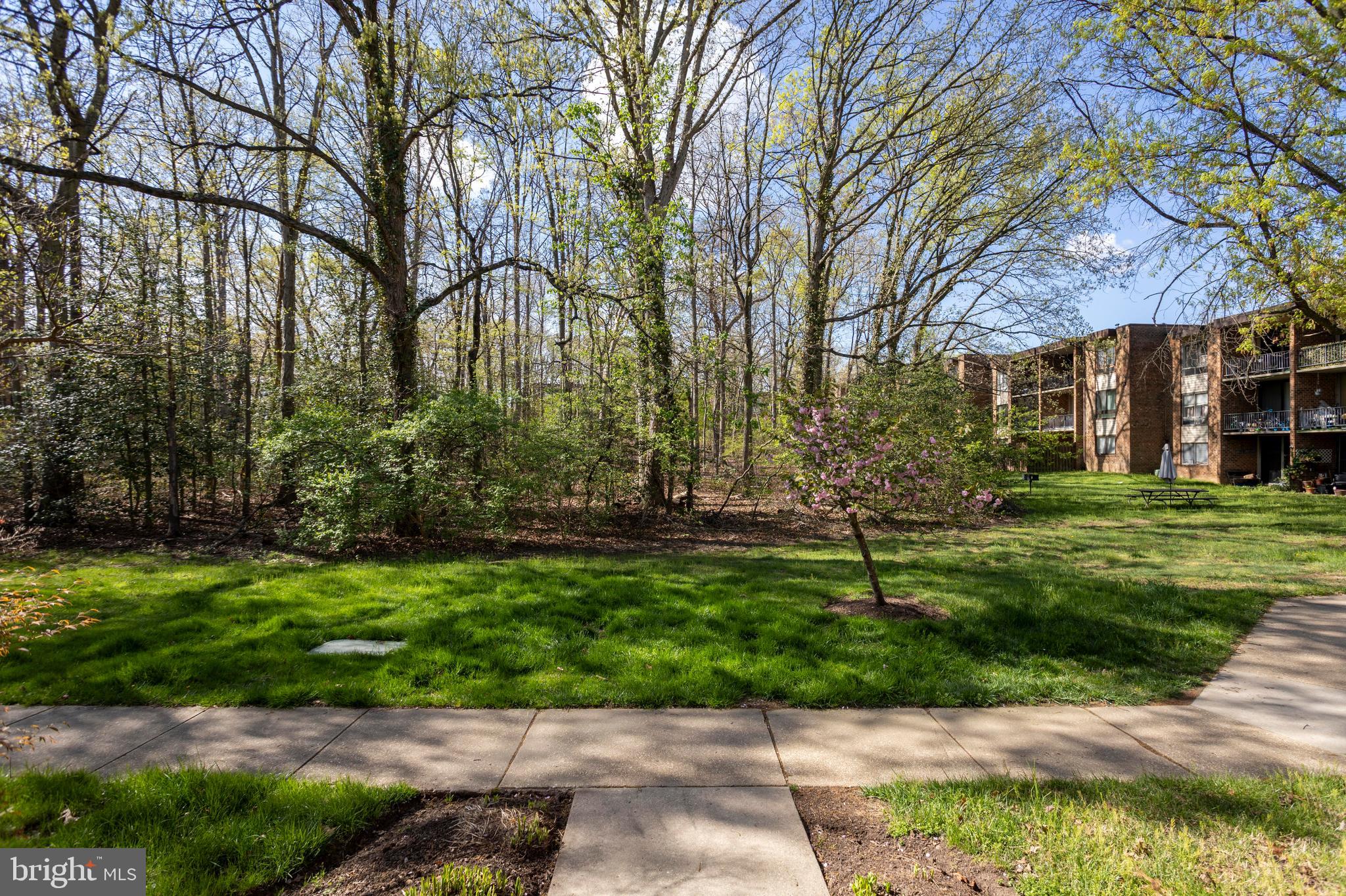 CHELSEA WOODS CONDO - Residential