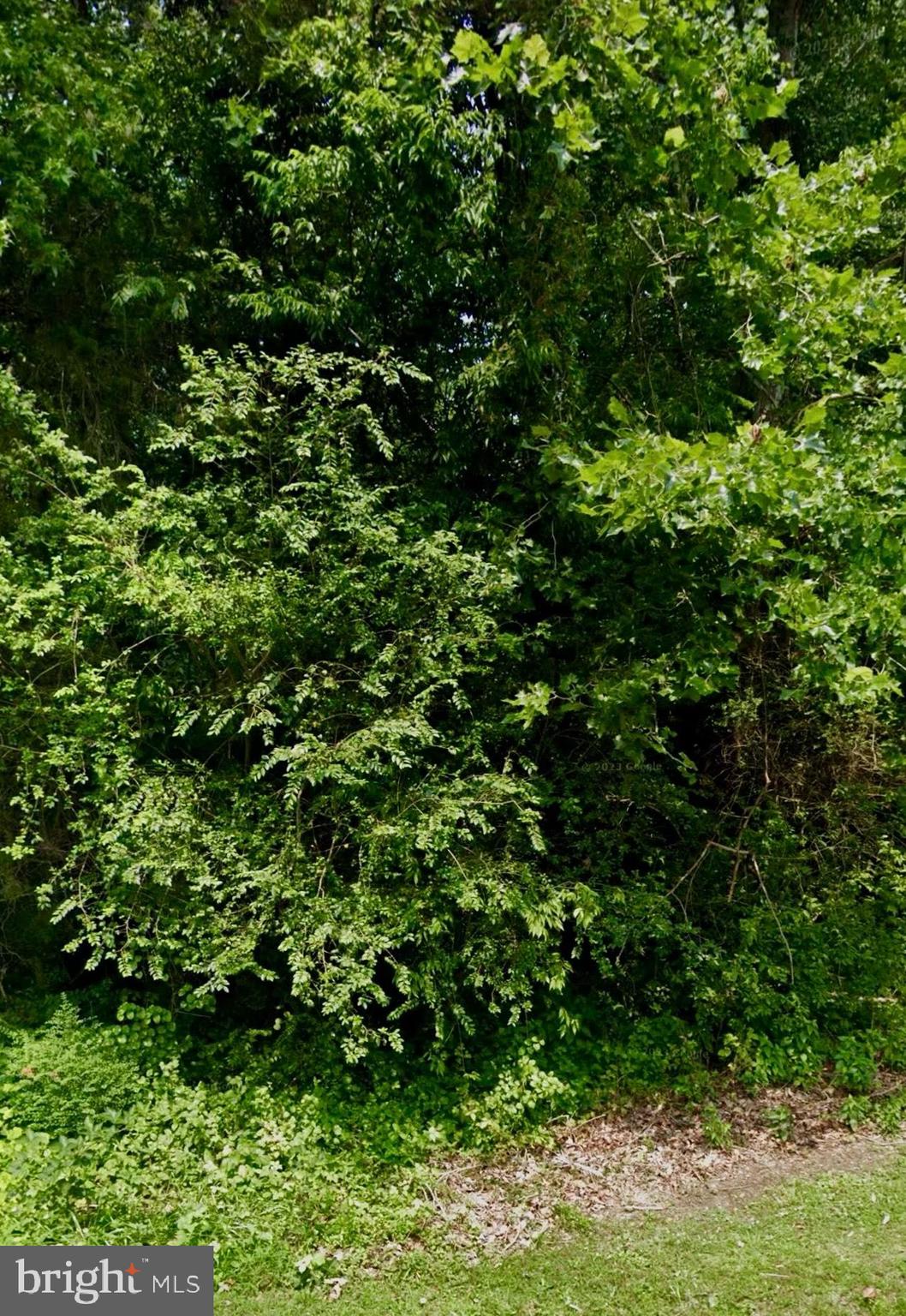 LOT 15 OXFORD LANE