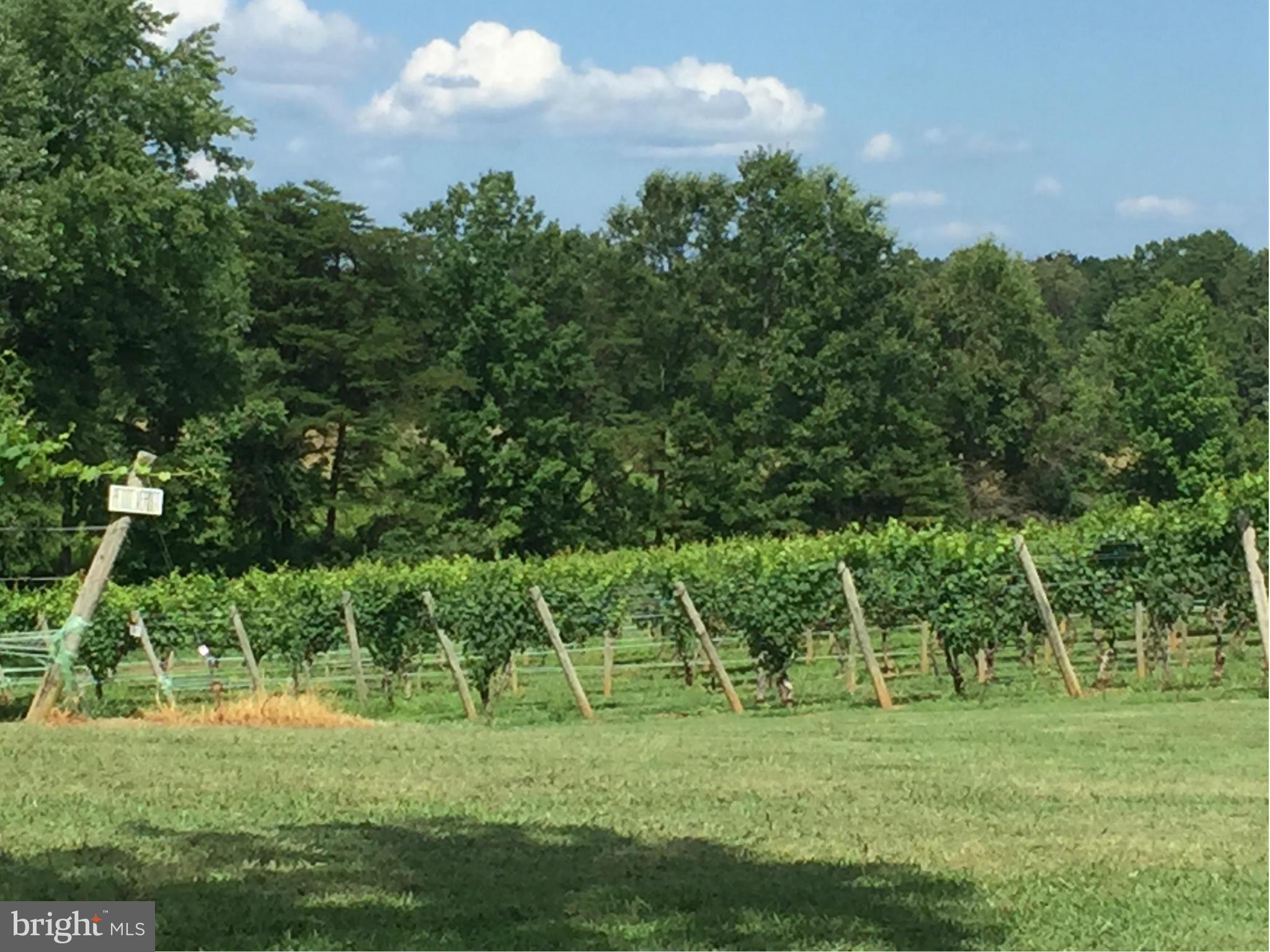 RICHARD WHITE ESTATE - Land