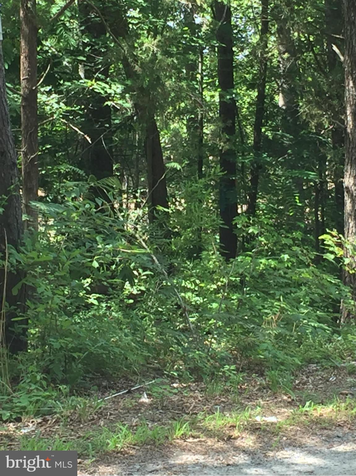 RICHARD WHITE ESTATE - Land