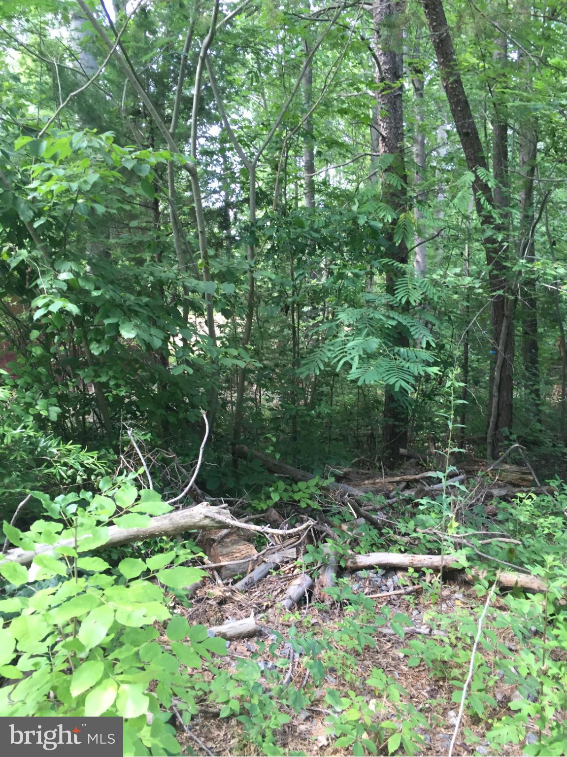 RICHARD WHITE ESTATE - Land