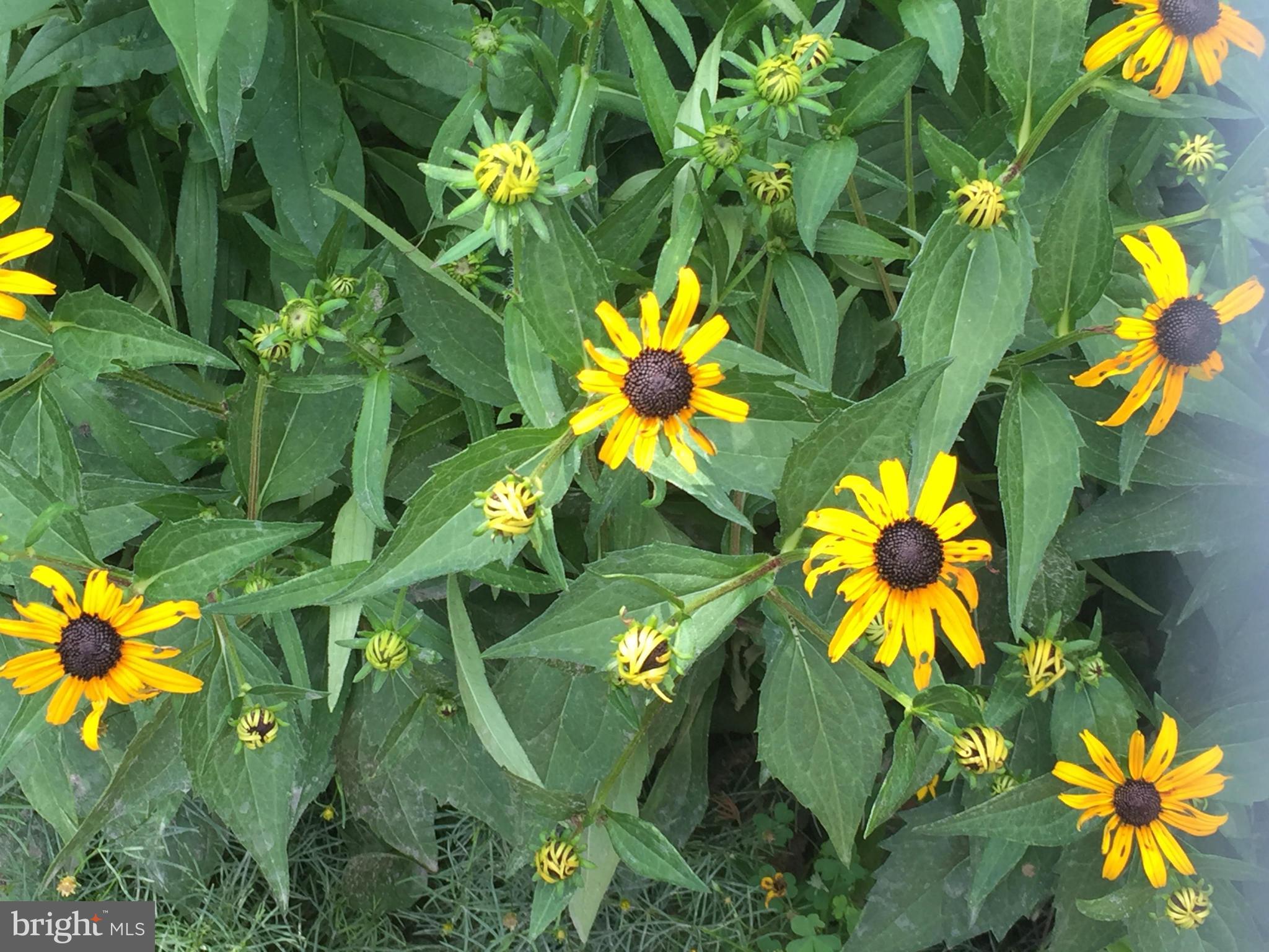 RICHARD WHITE ESTATE - Land