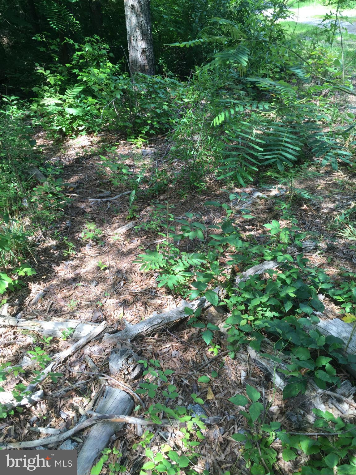 RICHARD WHITE ESTATE - Land