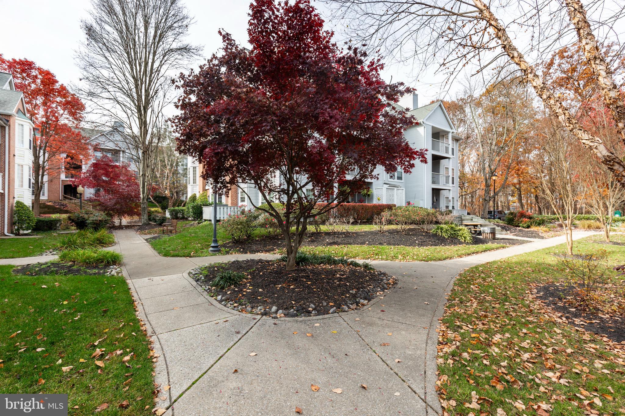 SILVERBROOK FARMS - Residential