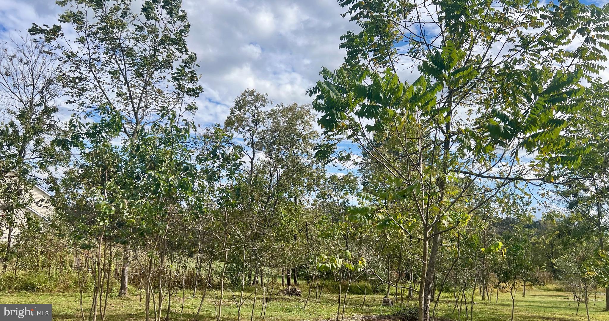 SILCOTT MEADOW - Residential