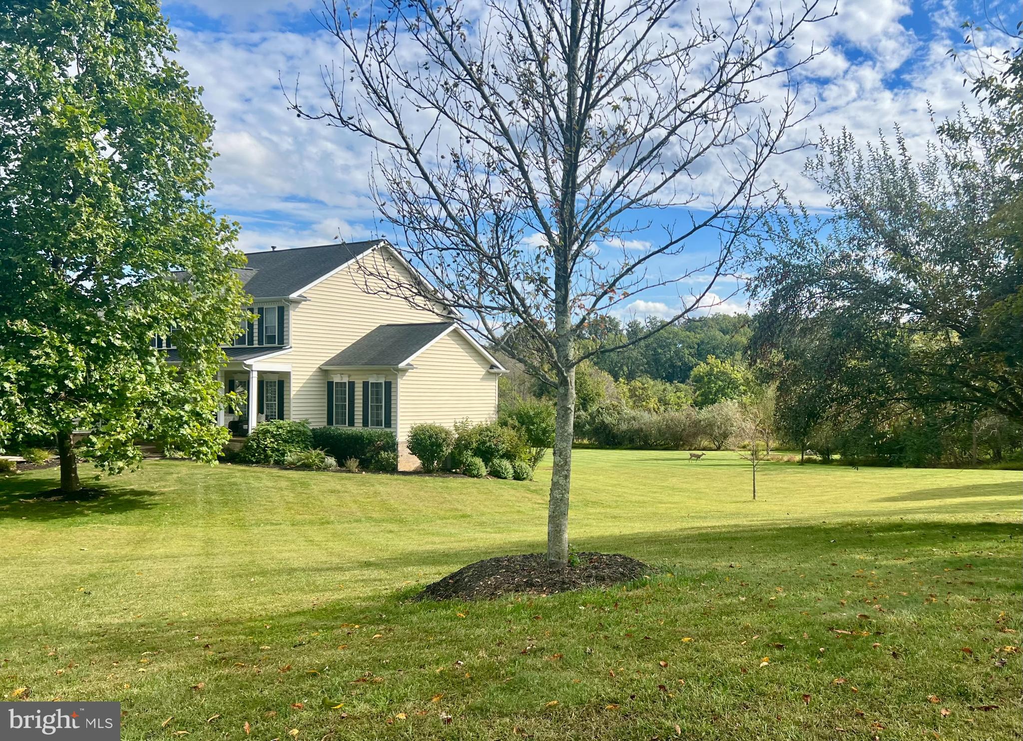 SILCOTT MEADOW - Residential